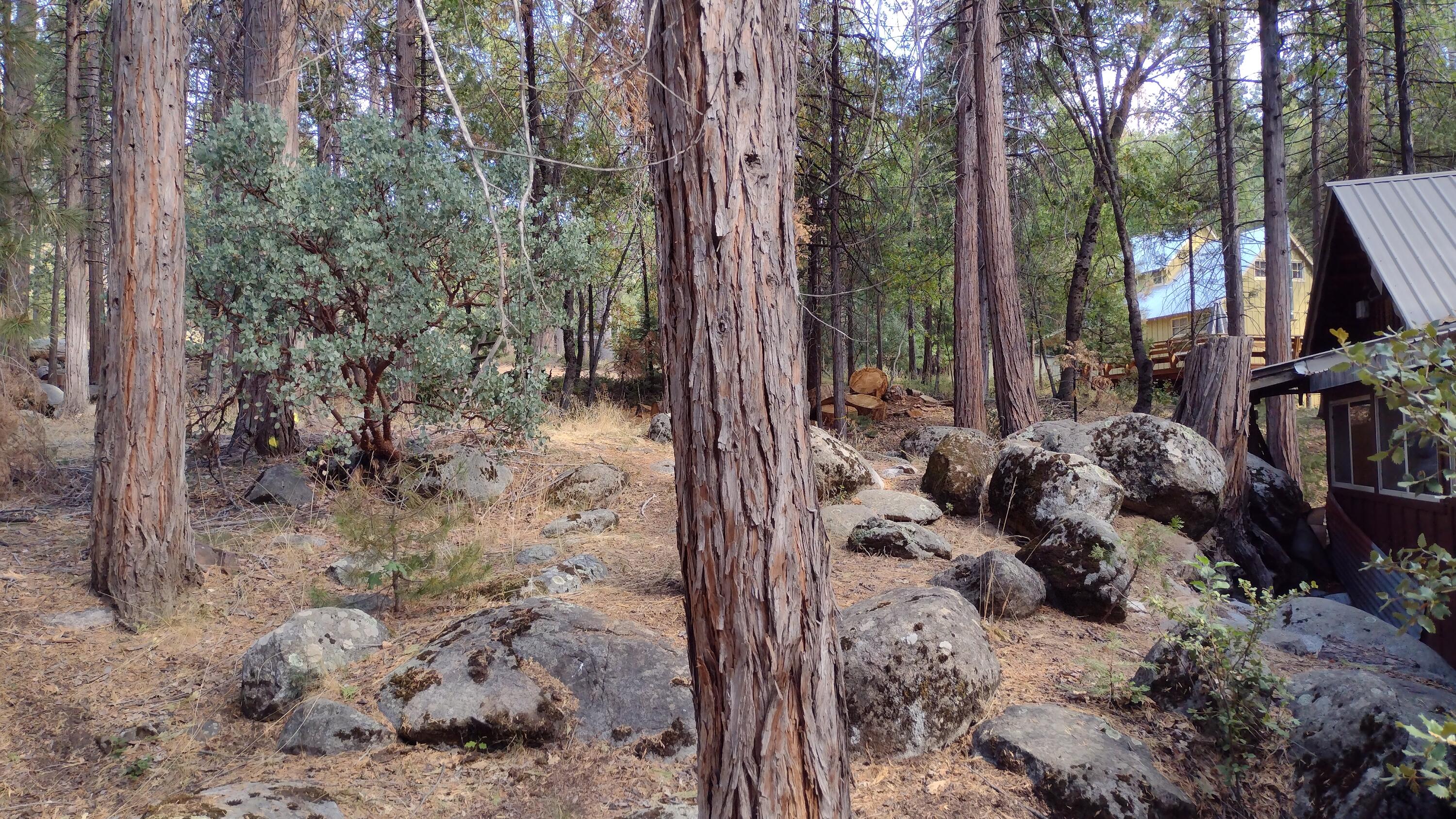 639 Trails End, Camp Nelson, CA 93265