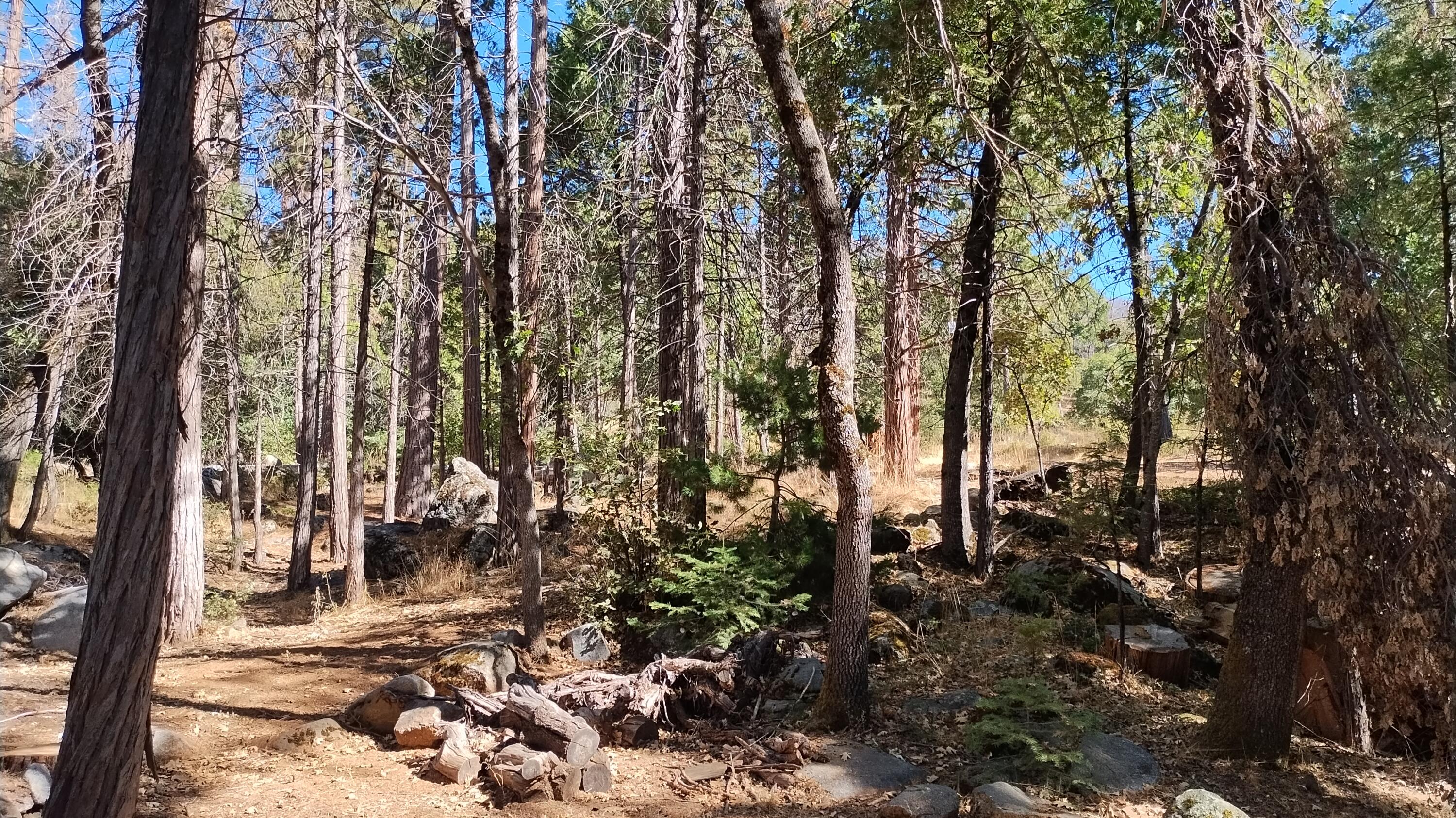 639 Trails End, Camp Nelson, CA 93265