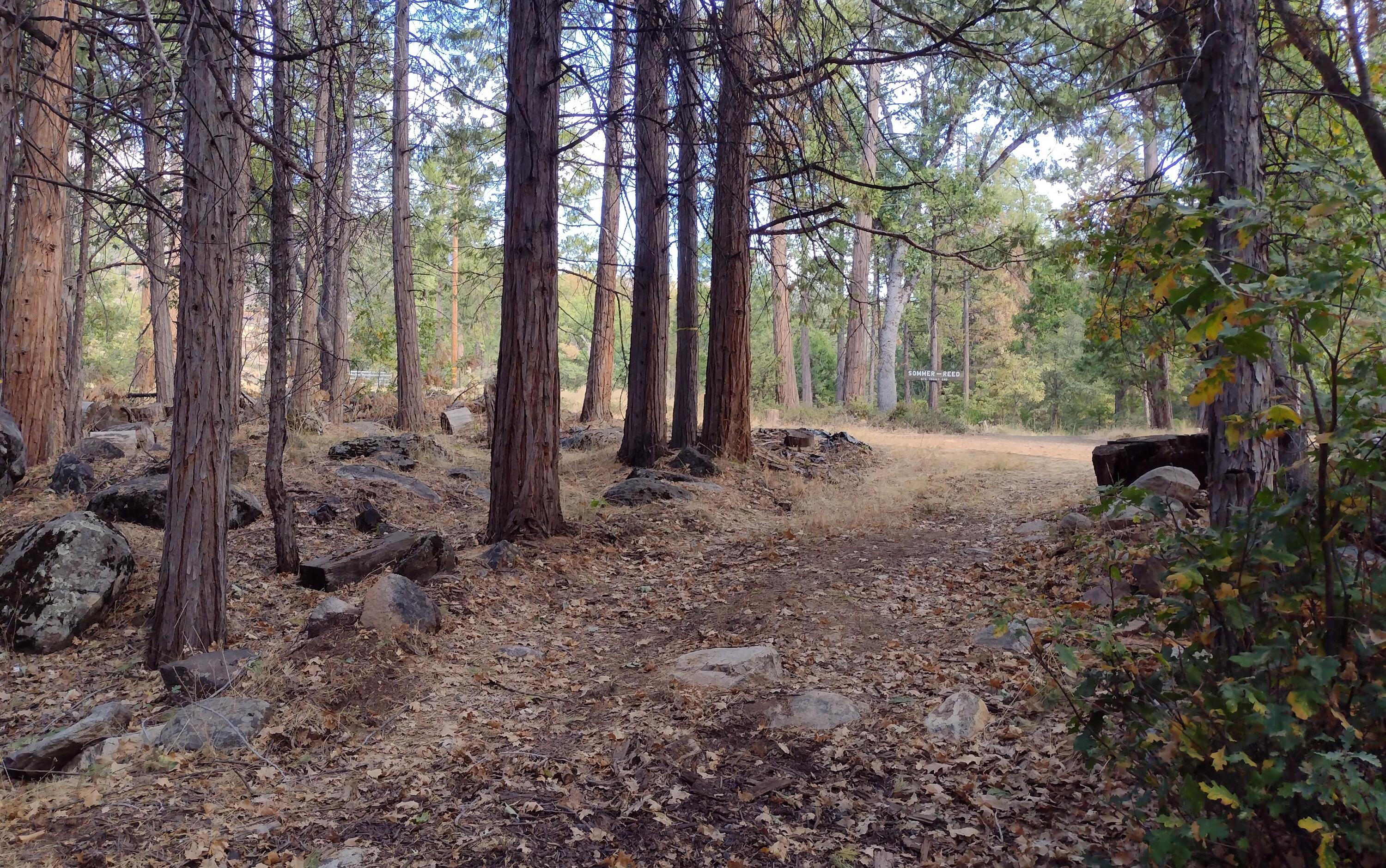 639 Trails End, Camp Nelson, CA 93265