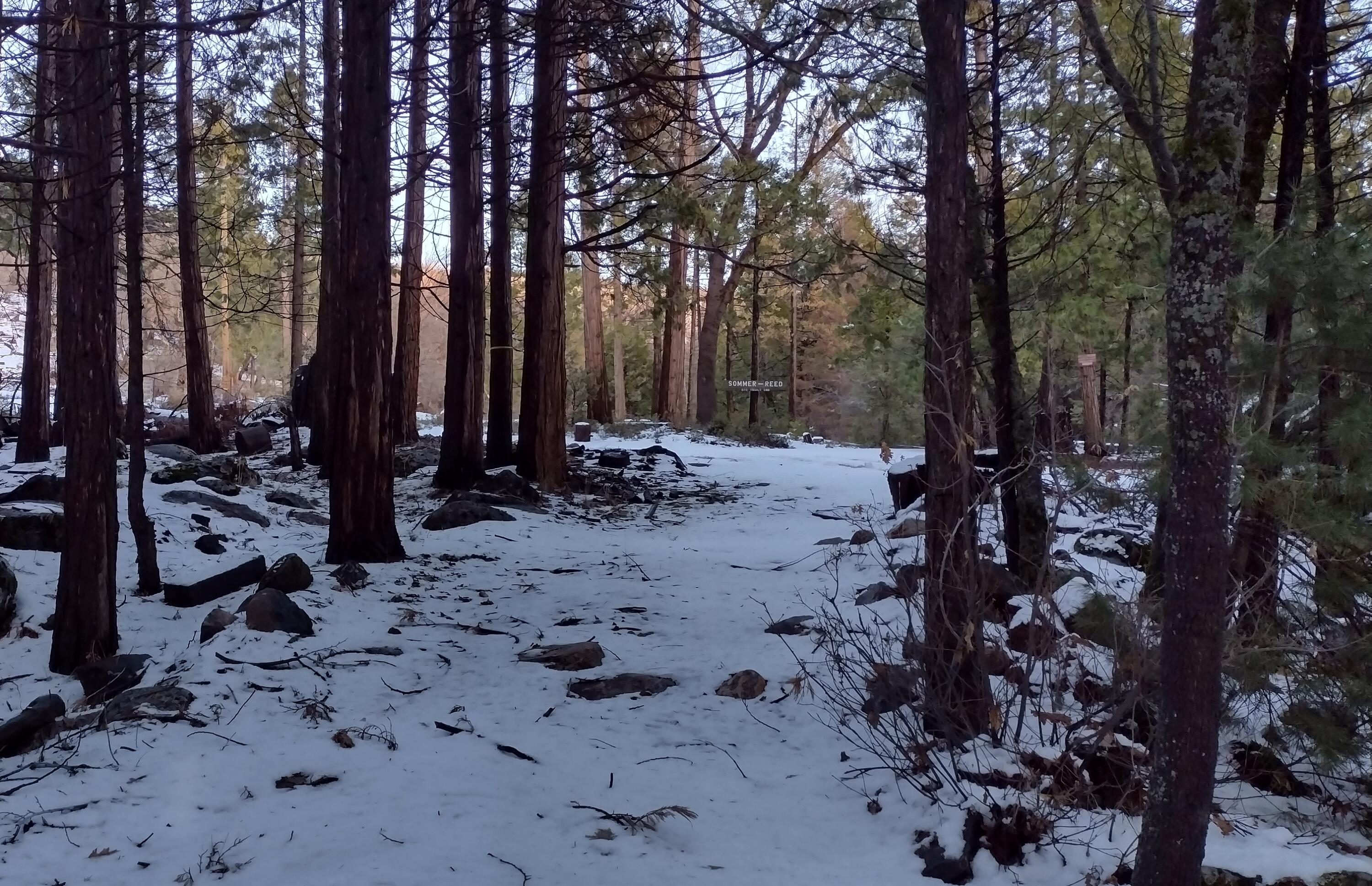 639 Trails End, Camp Nelson, CA 93265