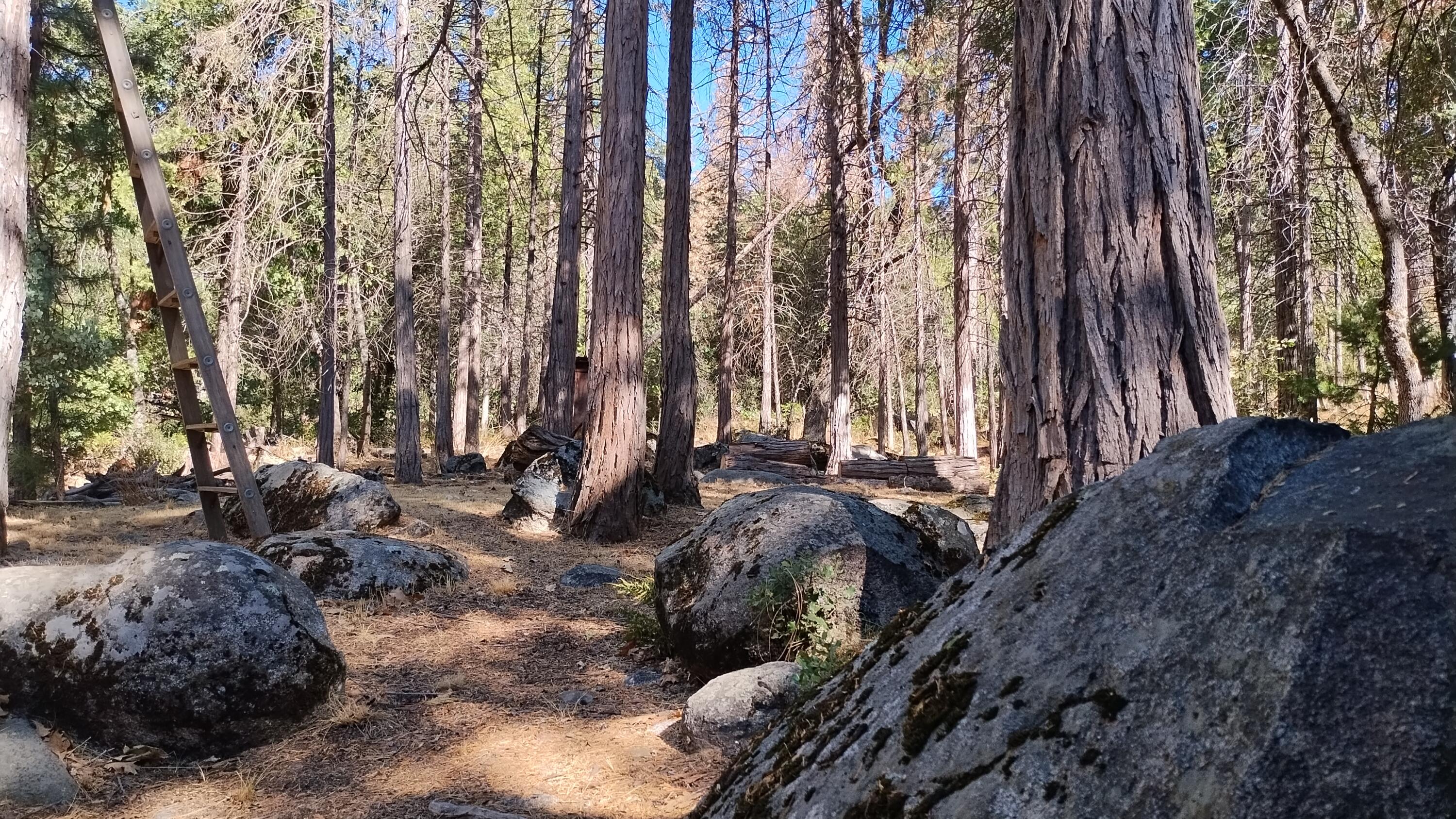 639 Trails End, Camp Nelson, CA 93265