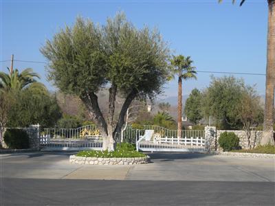 30914 Angus Loop Dr, Springville, CA 93265