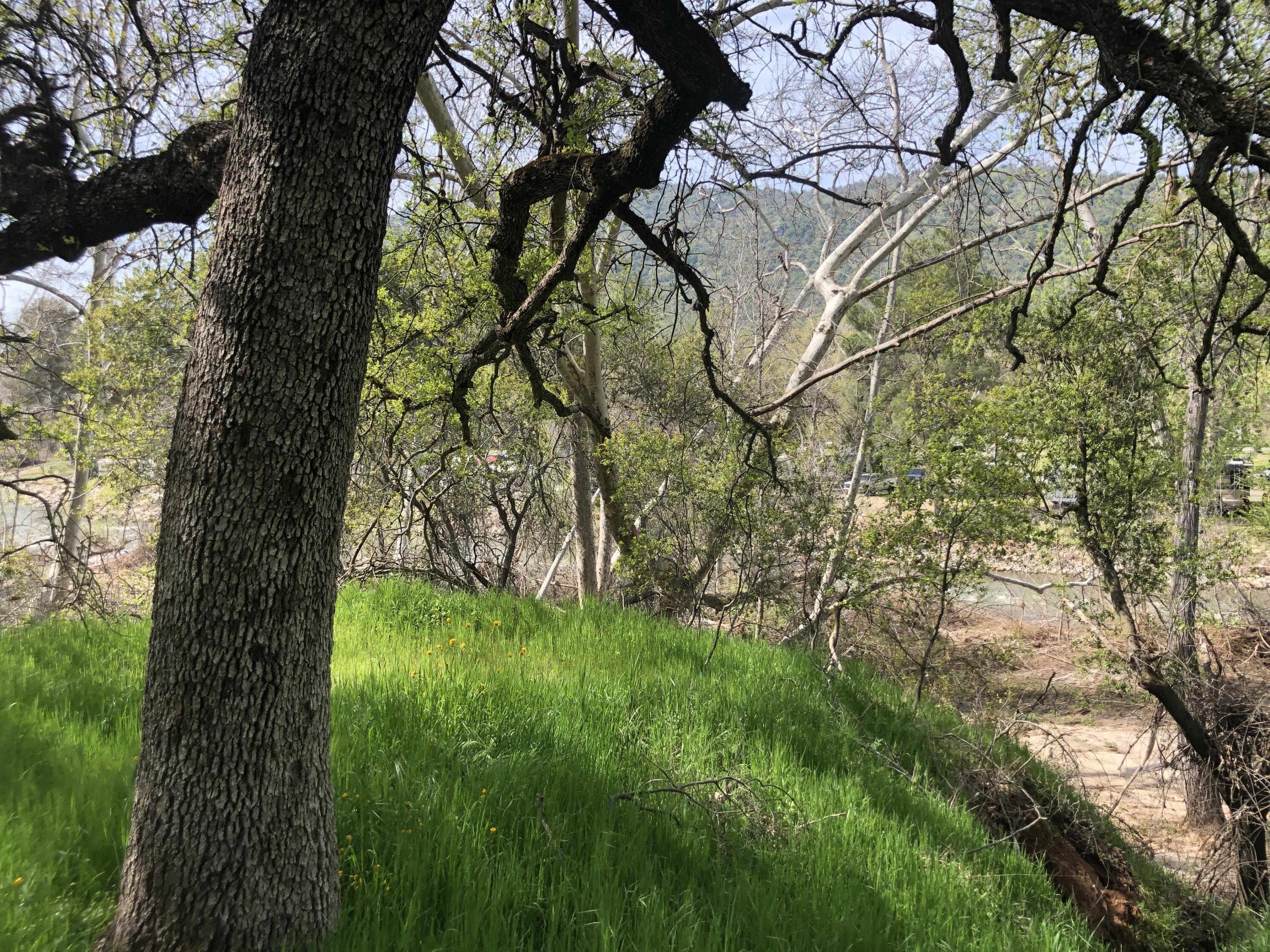0 N Kaweah River Dr, Three Rivers, CA 93271