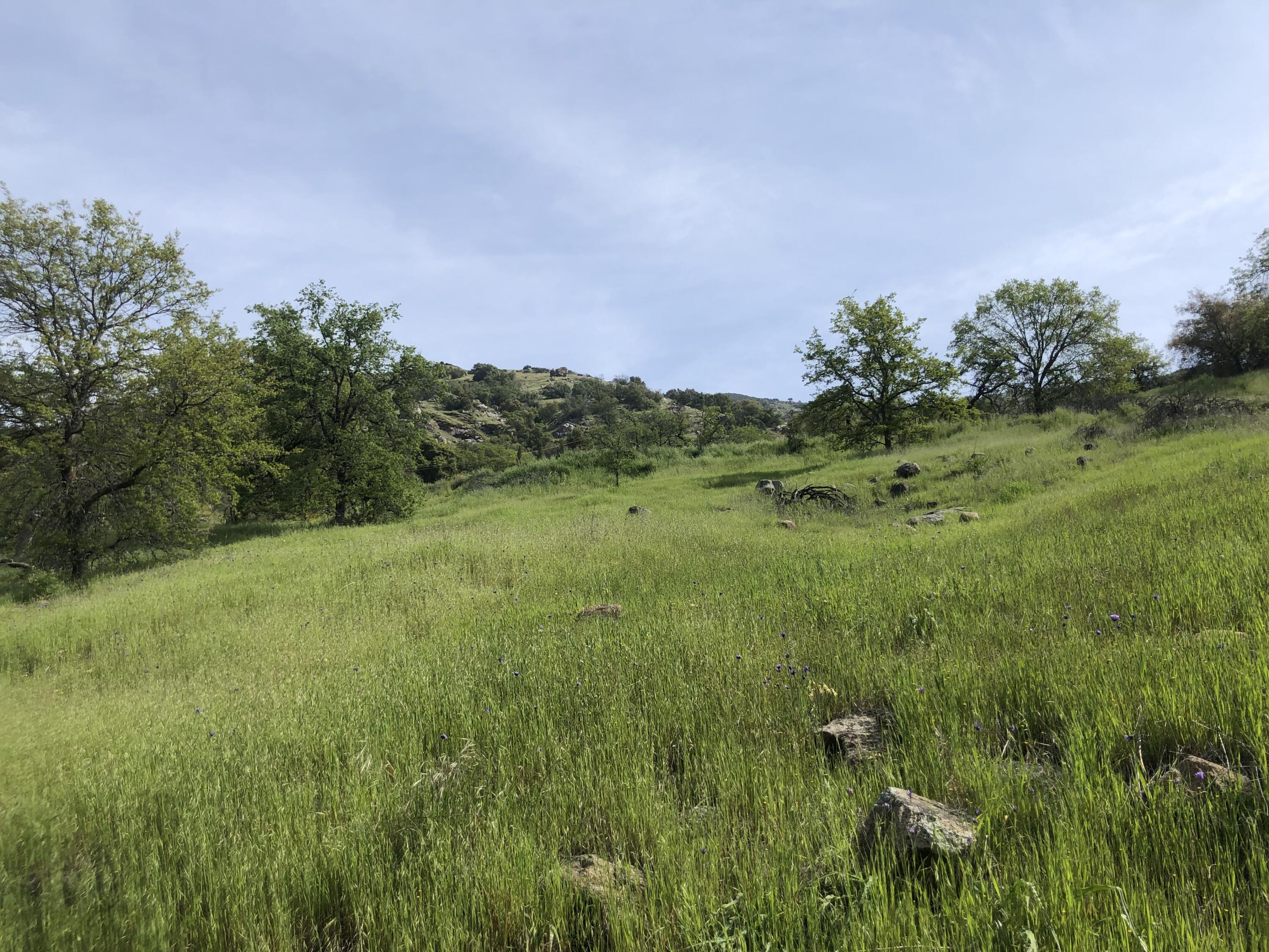 0 N Kaweah River Dr, Three Rivers, CA 93271