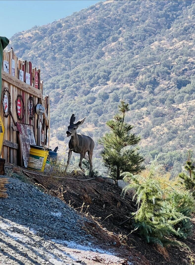 0 N Kaweah River Dr, Three Rivers, CA 93271