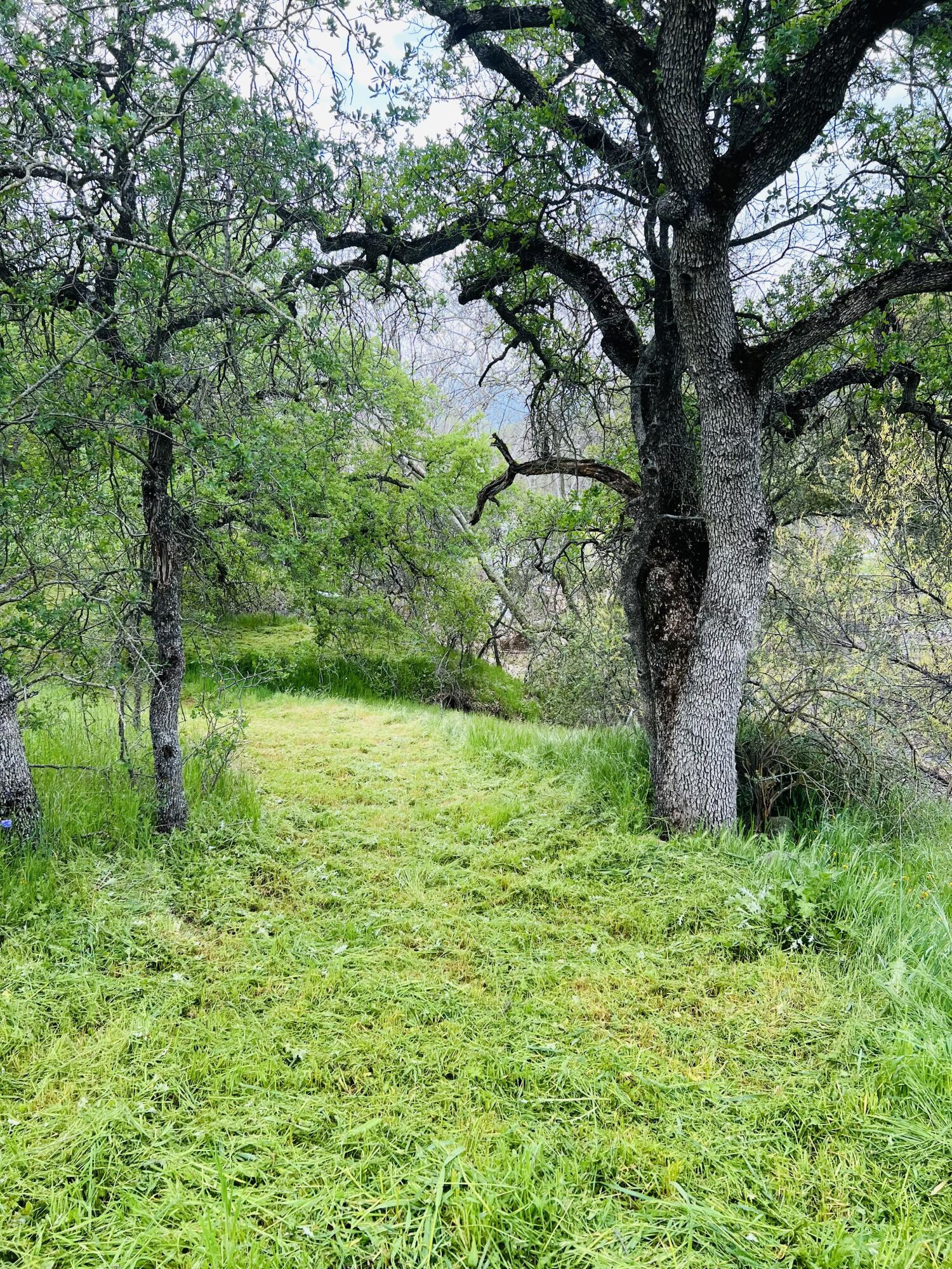 0 N Kaweah River Dr, Three Rivers, CA 93271