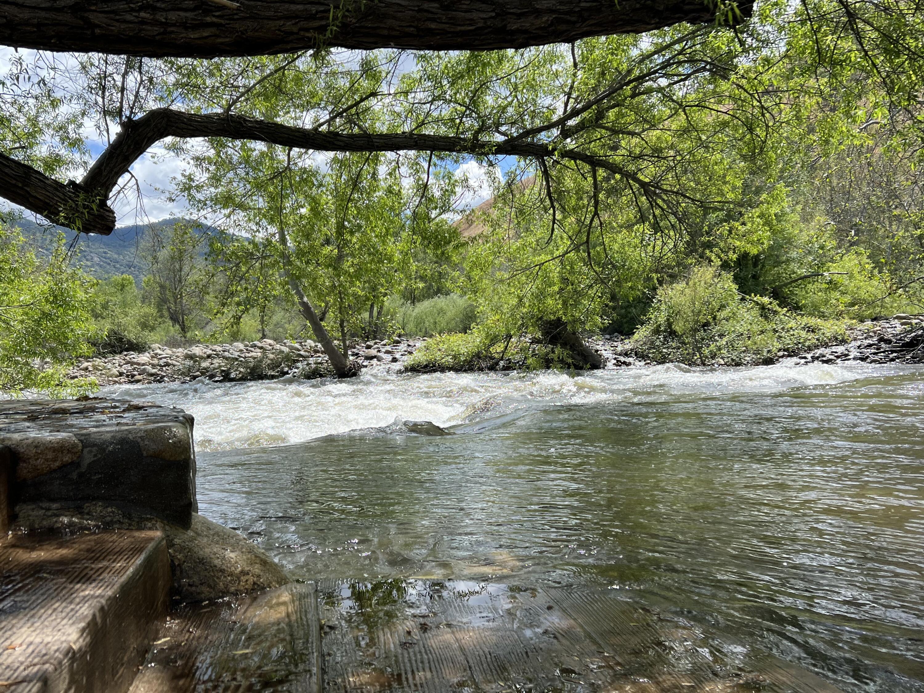 40863 Sierra Dr #D, Three Rivers, CA 93271