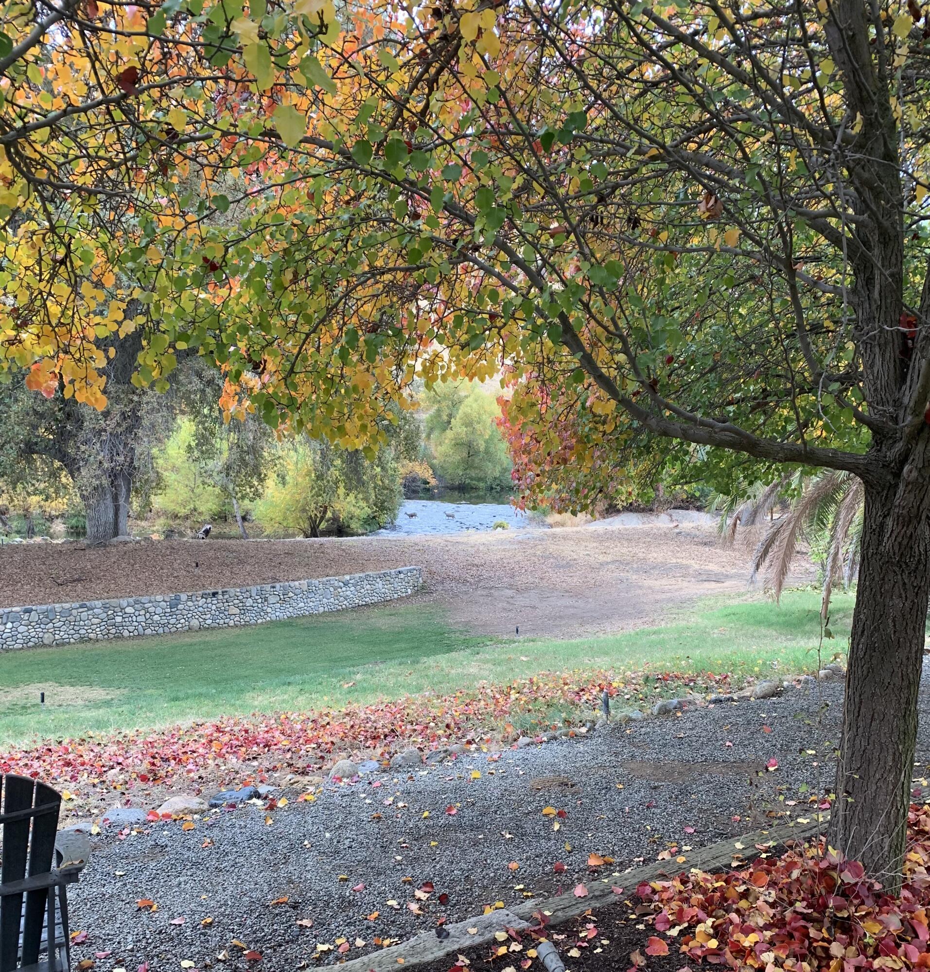 40863 Sierra Dr #D, Three Rivers, CA 93271