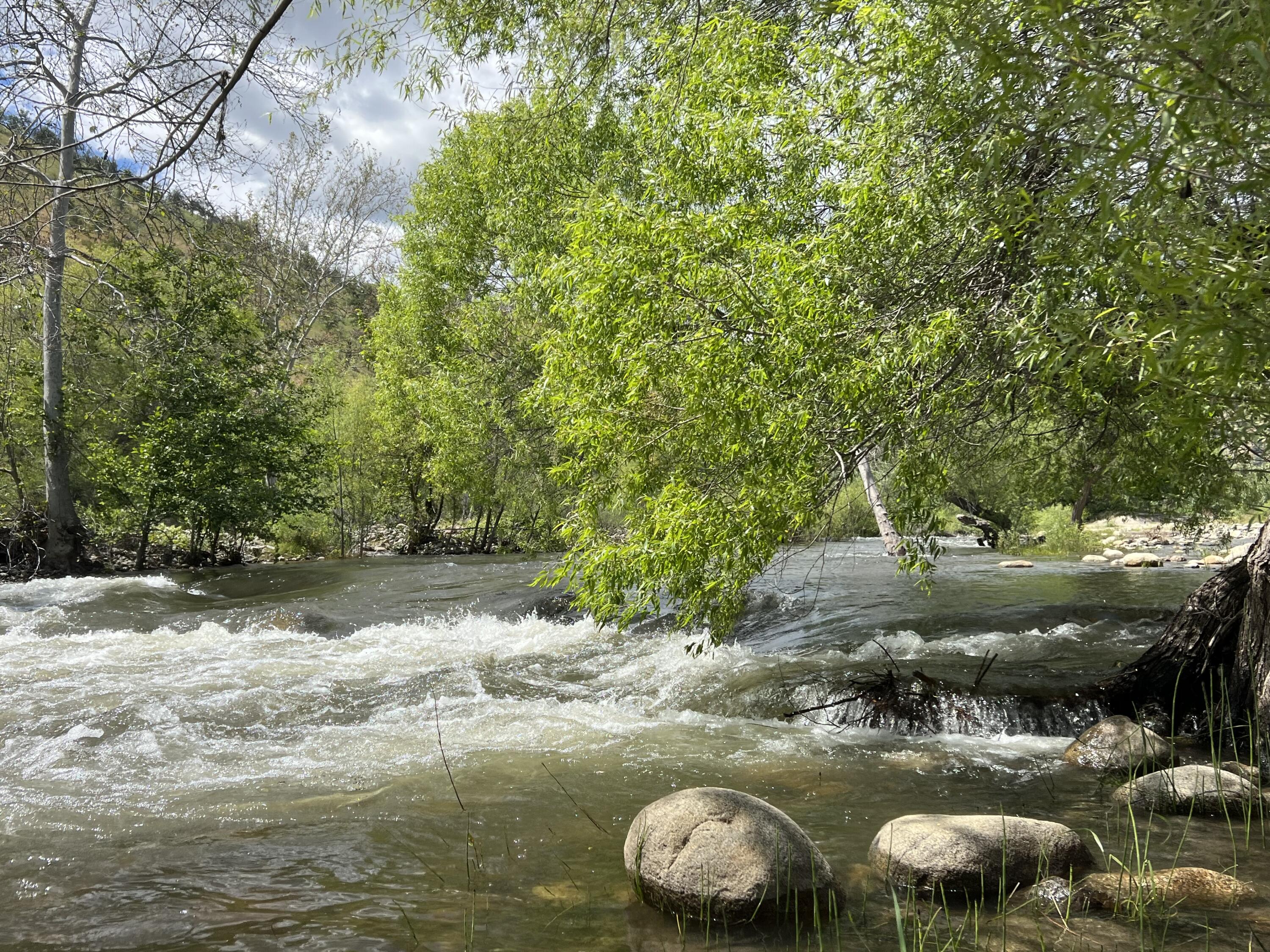 40863 Sierra Dr #D, Three Rivers, CA 93271