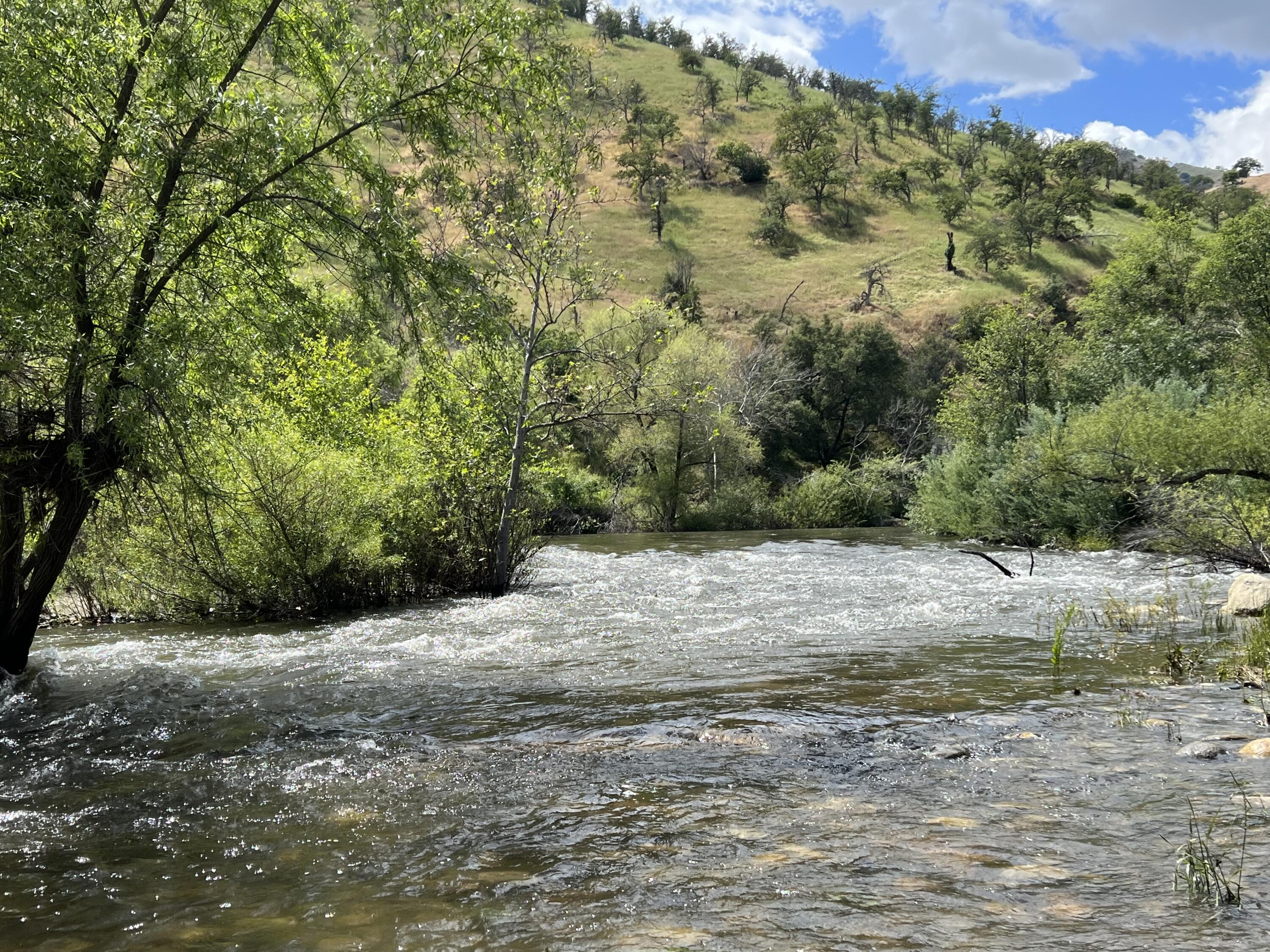 40863 Sierra Dr #D, Three Rivers, CA 93271