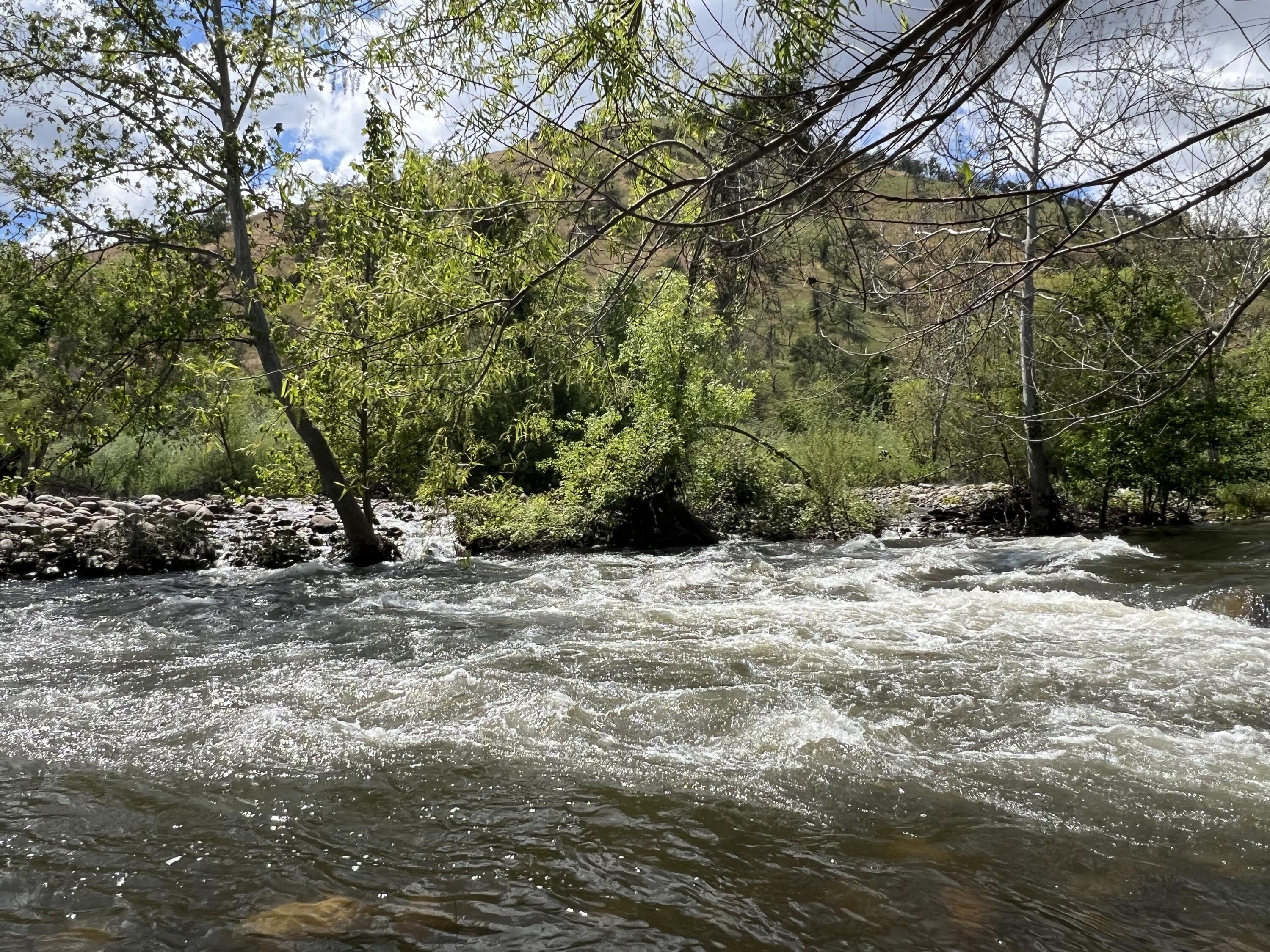 40863 Sierra Dr #D, Three Rivers, CA 93271