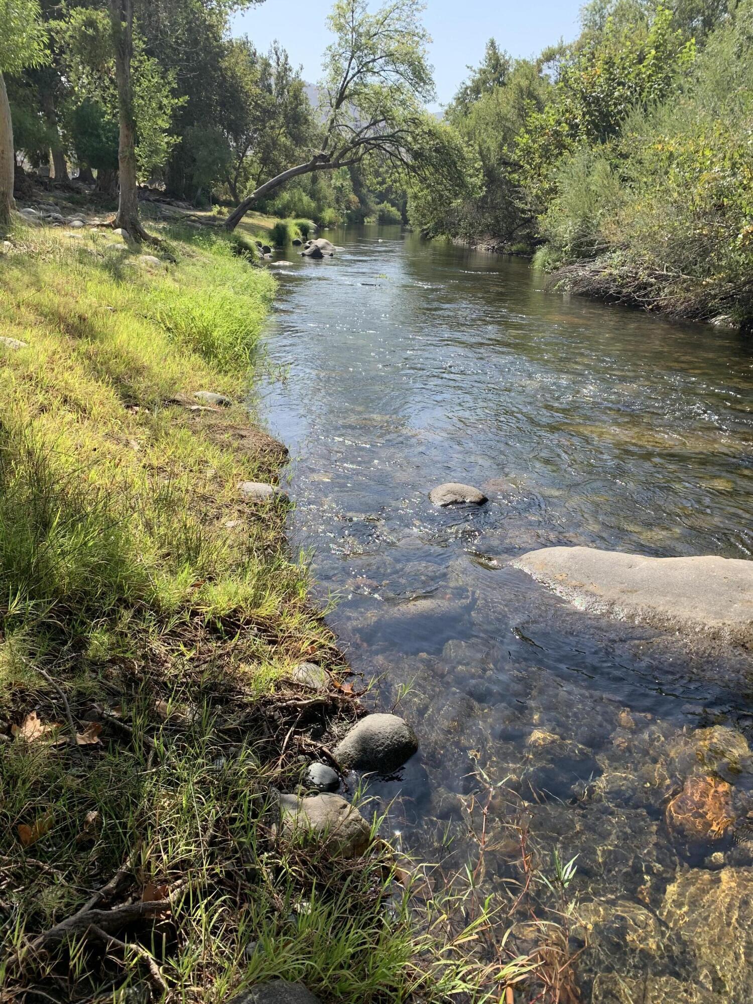 40863 Sierra Dr #D, Three Rivers, CA 93271