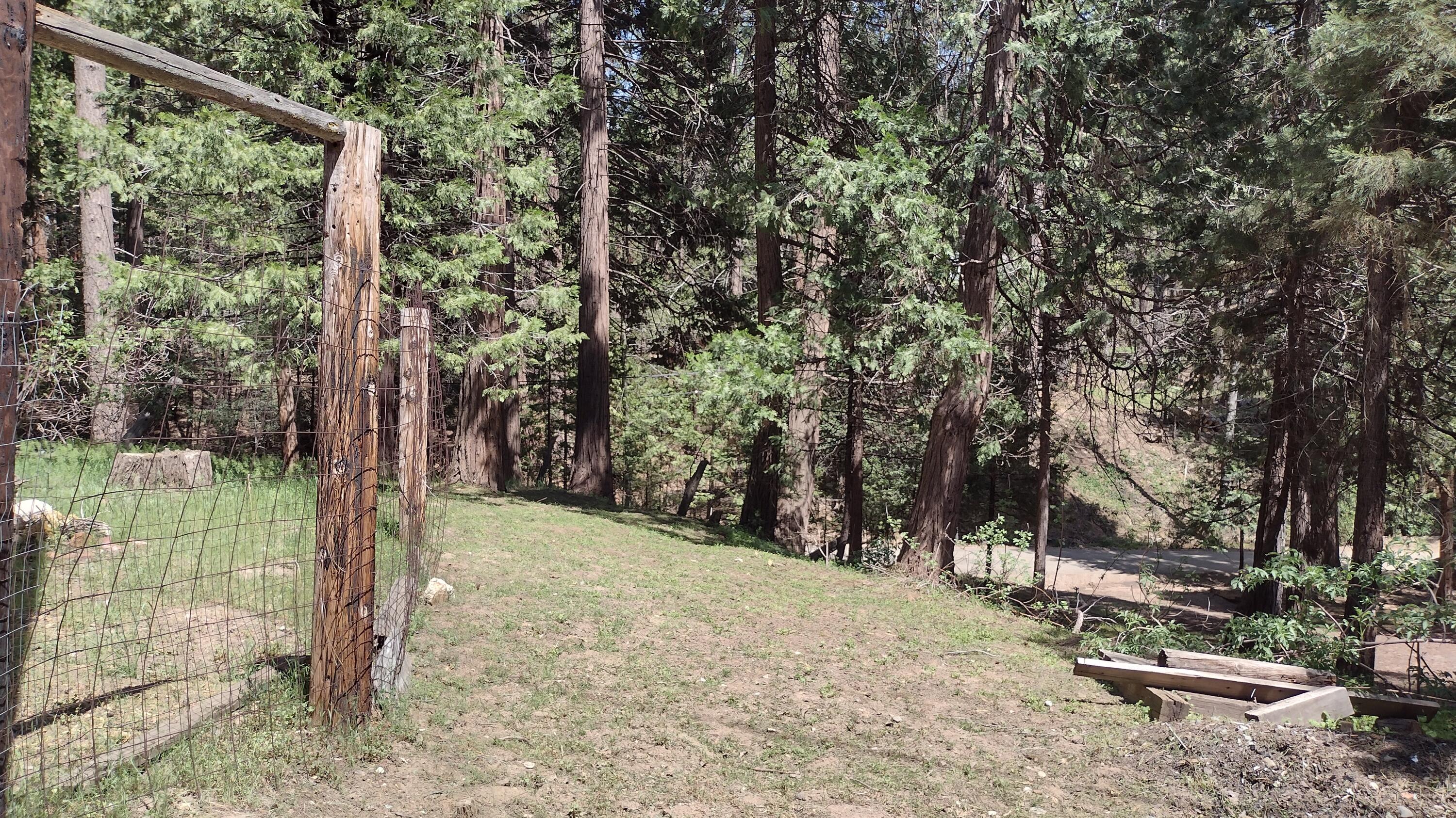 440 Trails End, Camp Nelson, CA 93265