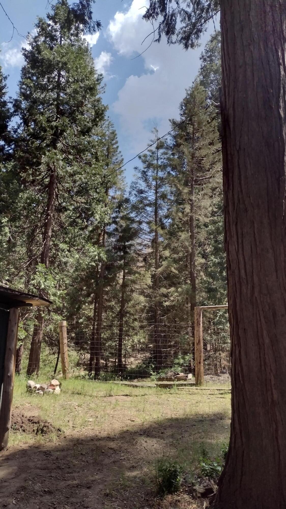 440 Trails End, Camp Nelson, CA 93265