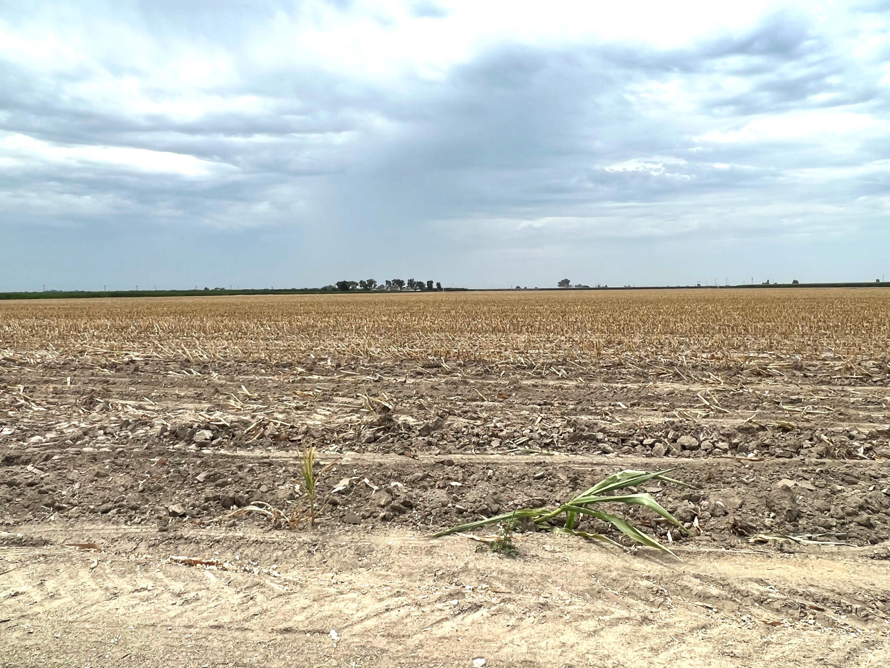 0 Avenue 196, Tulare, CA 93274