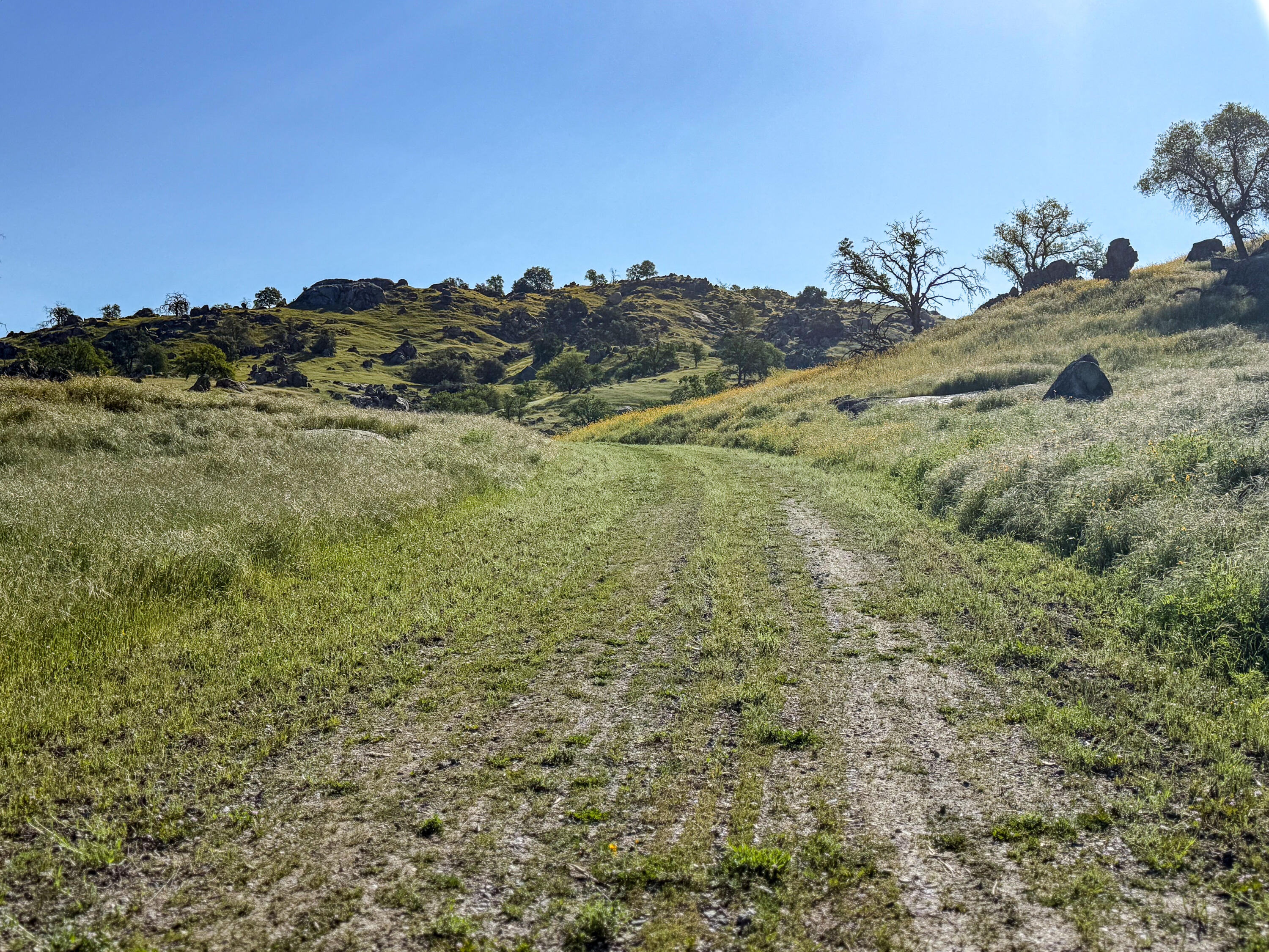 31746 Gordon Dr, Exeter, CA 93221