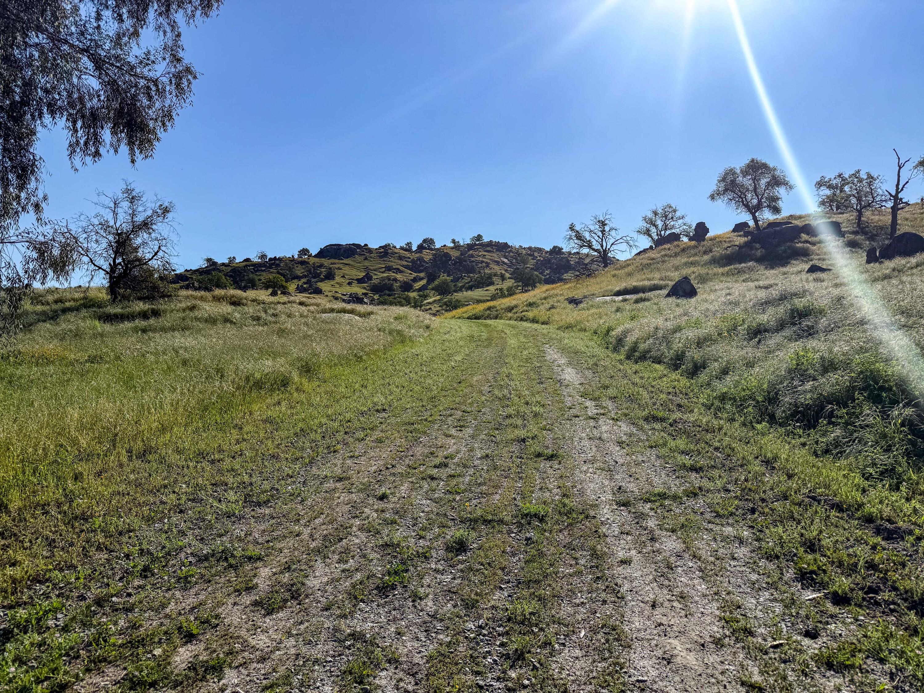 31746 Gordon Dr, Exeter, CA 93221