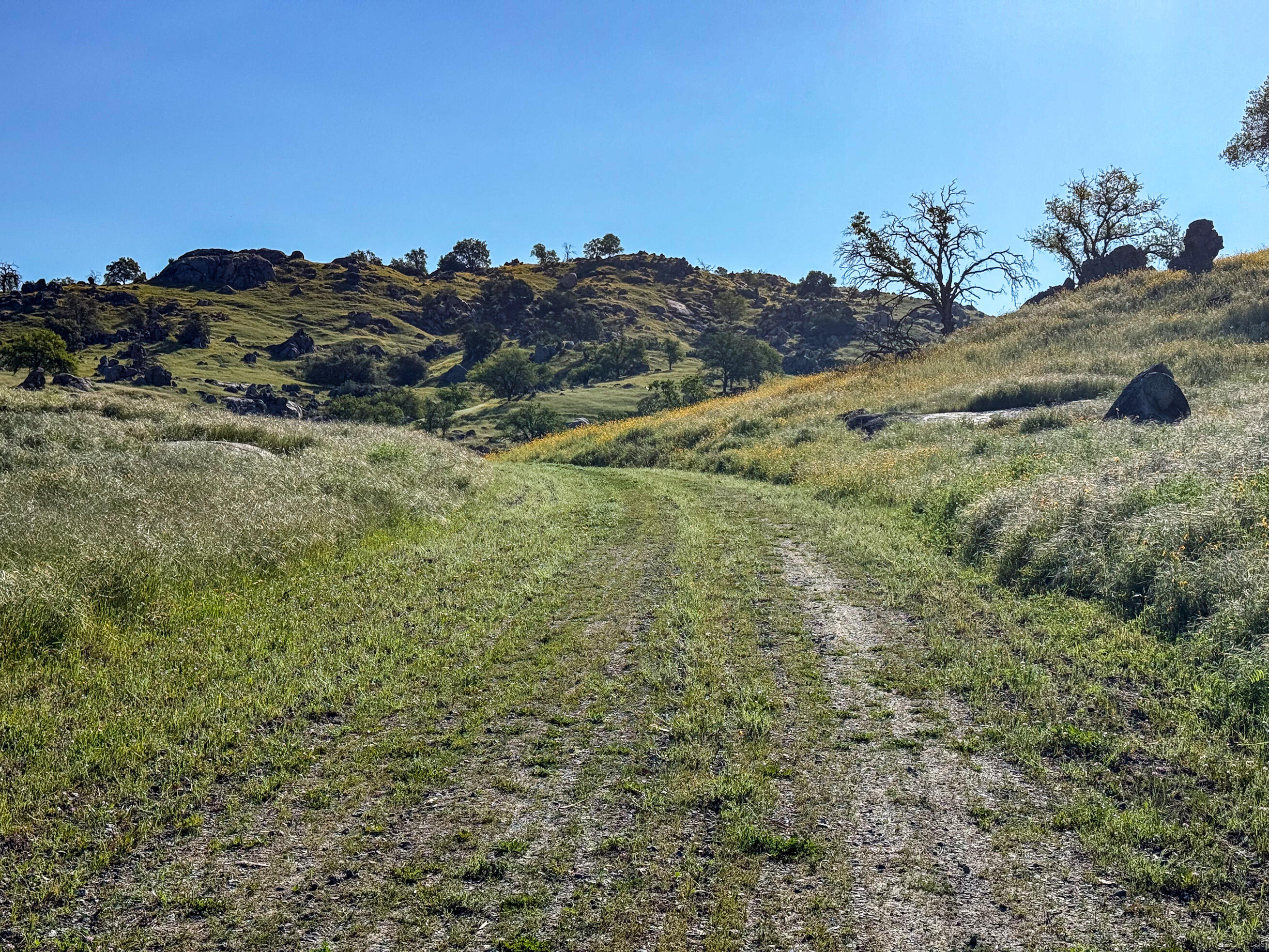 31746 Gordon Dr, Exeter, CA 93221