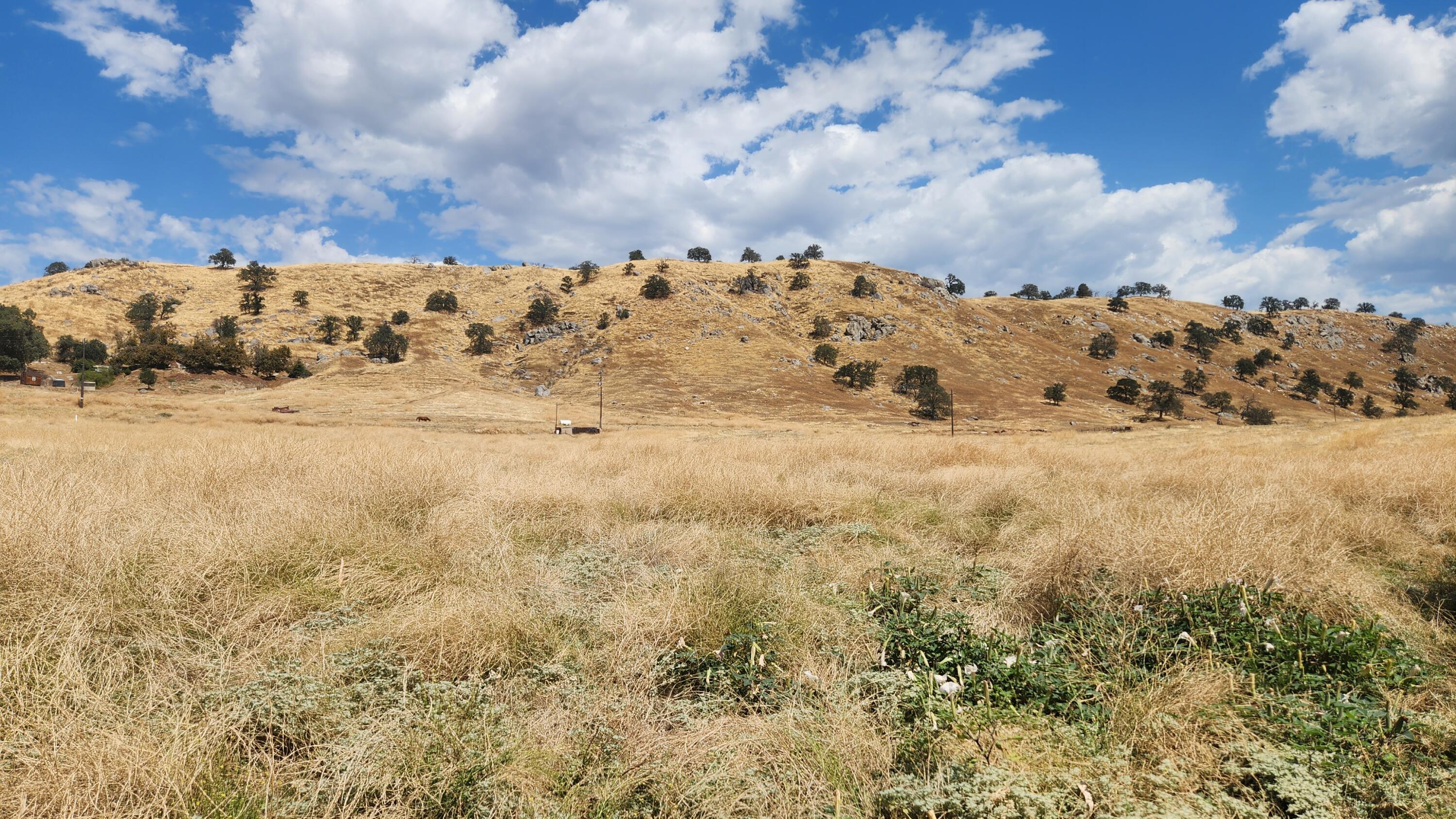 0 Hwy 190 (7.55 Ac), Springville, CA 93265