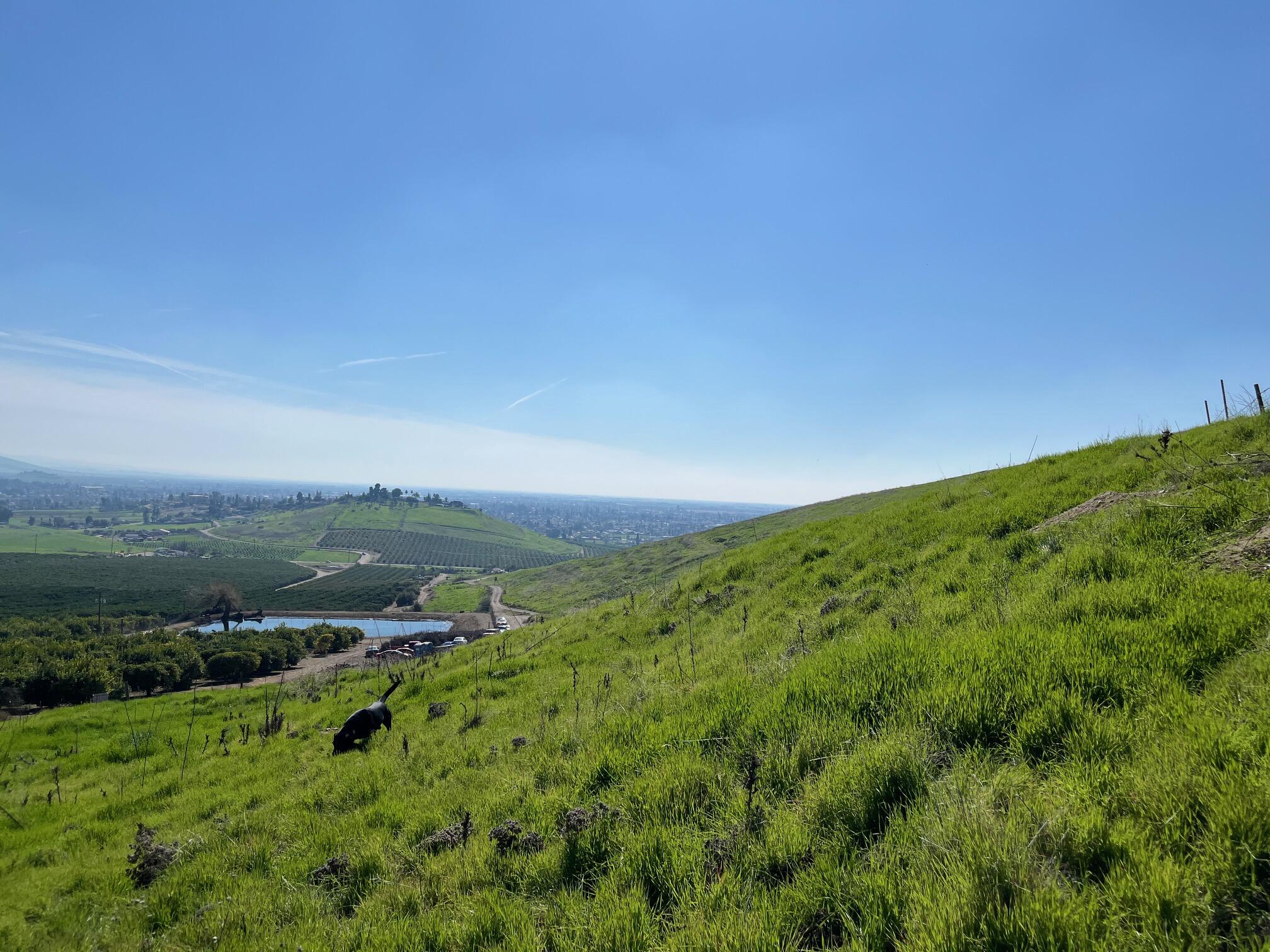 0 N Main & Reed Ave, Porterville, CA 93257