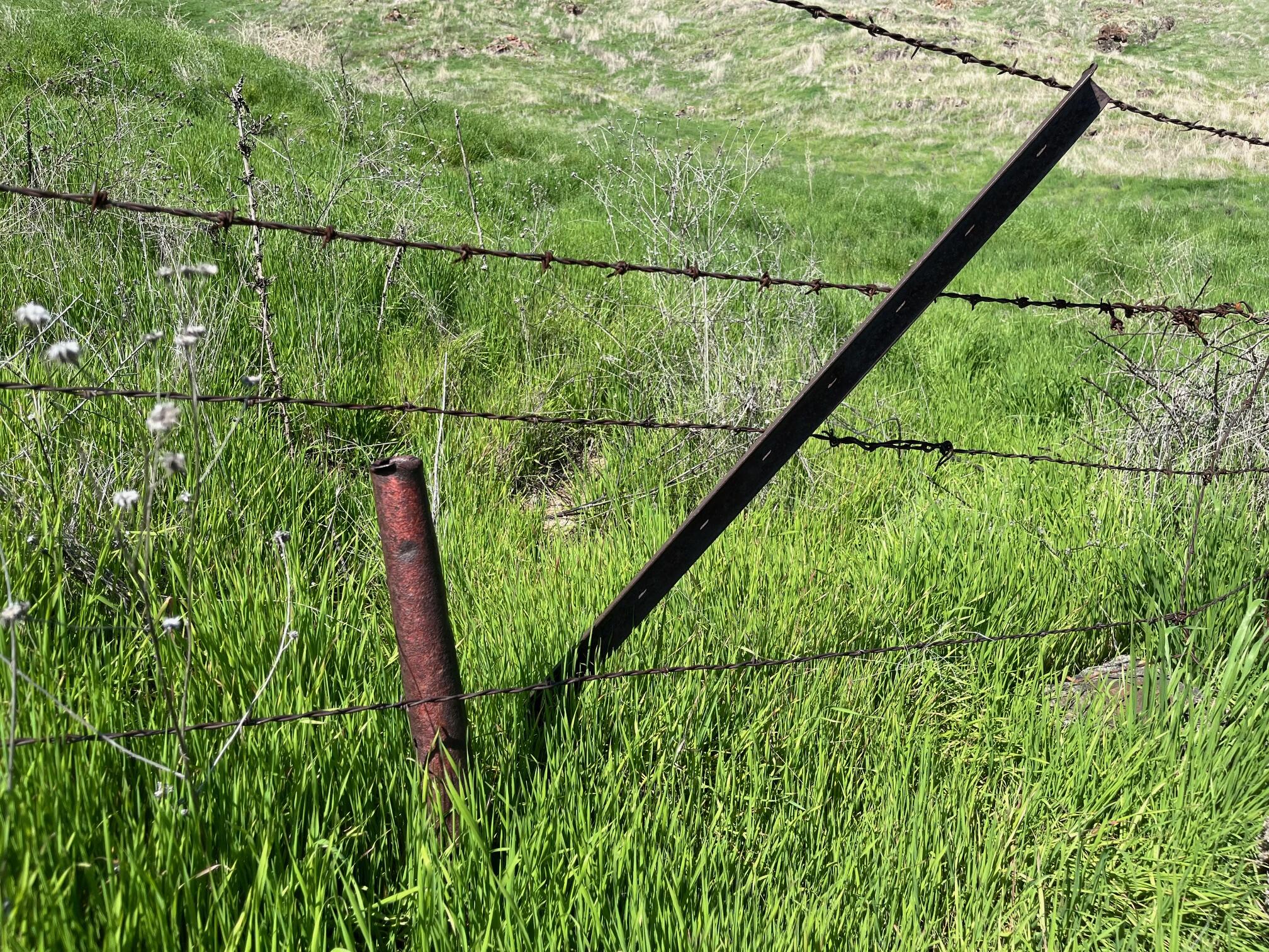 0 N Main & Reed Ave, Porterville, CA 93257