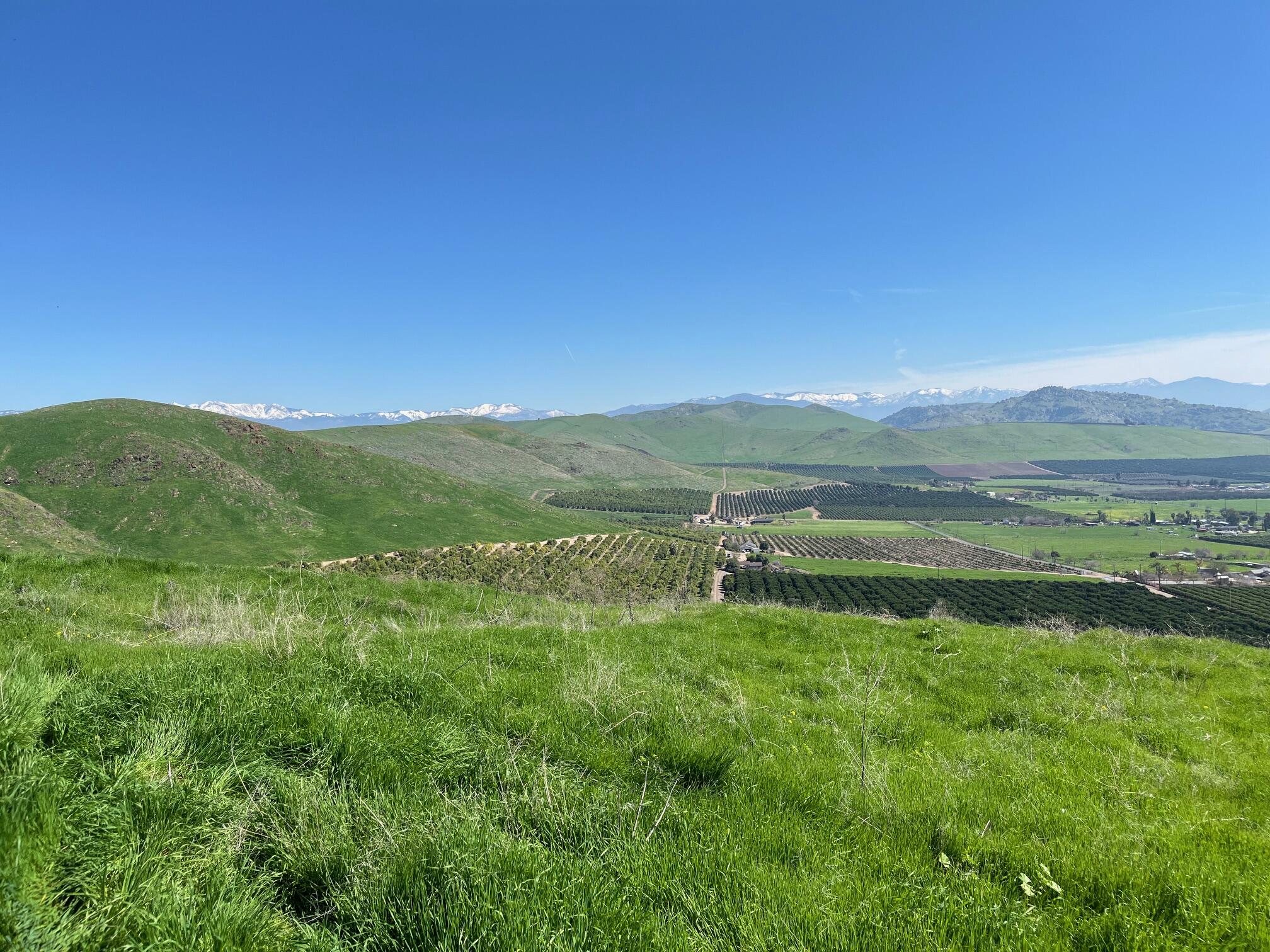 0 N Main & Reed Ave, Porterville, CA 93257