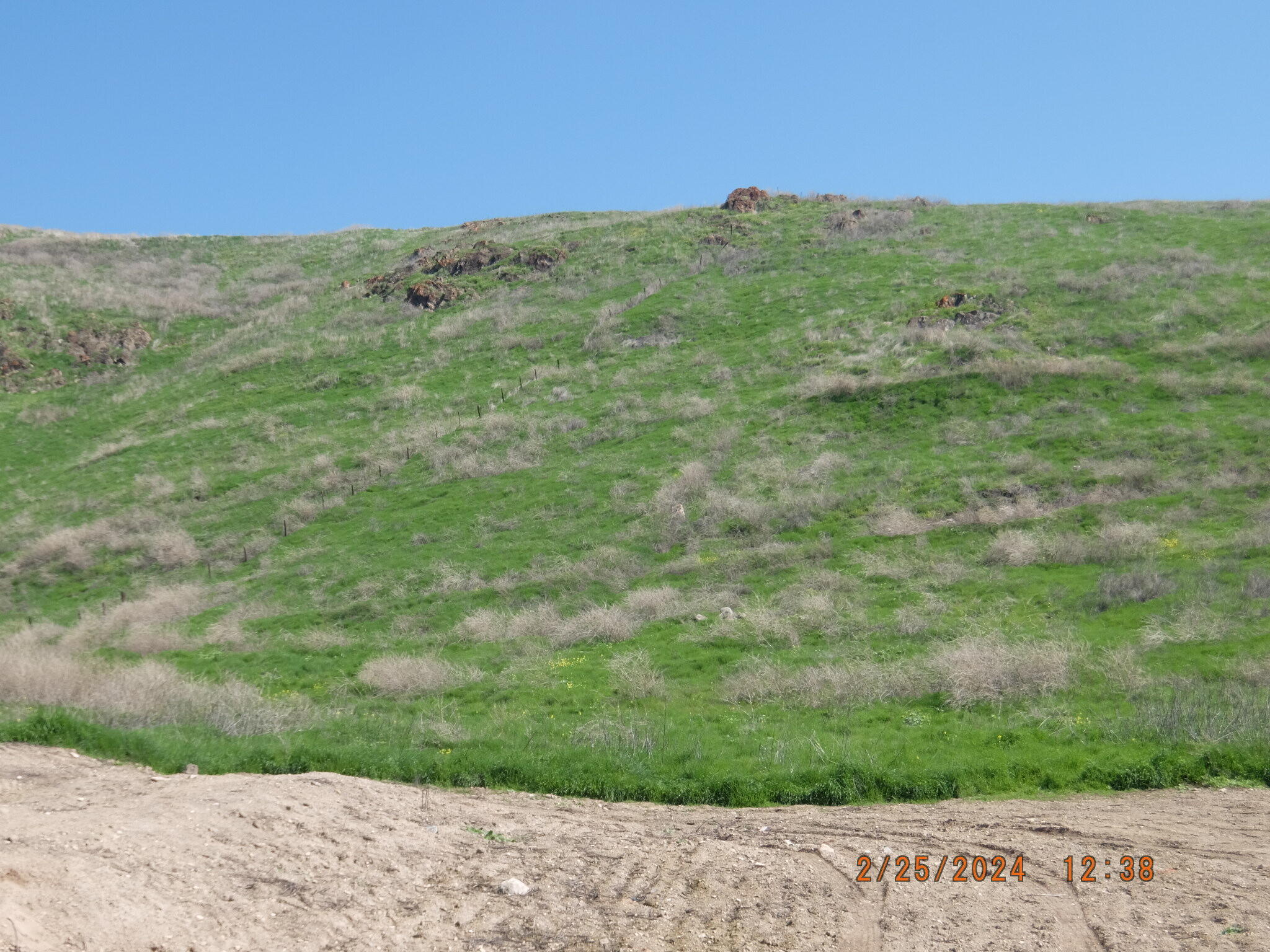 0 N Main & Reed Ave, Porterville, CA 93257