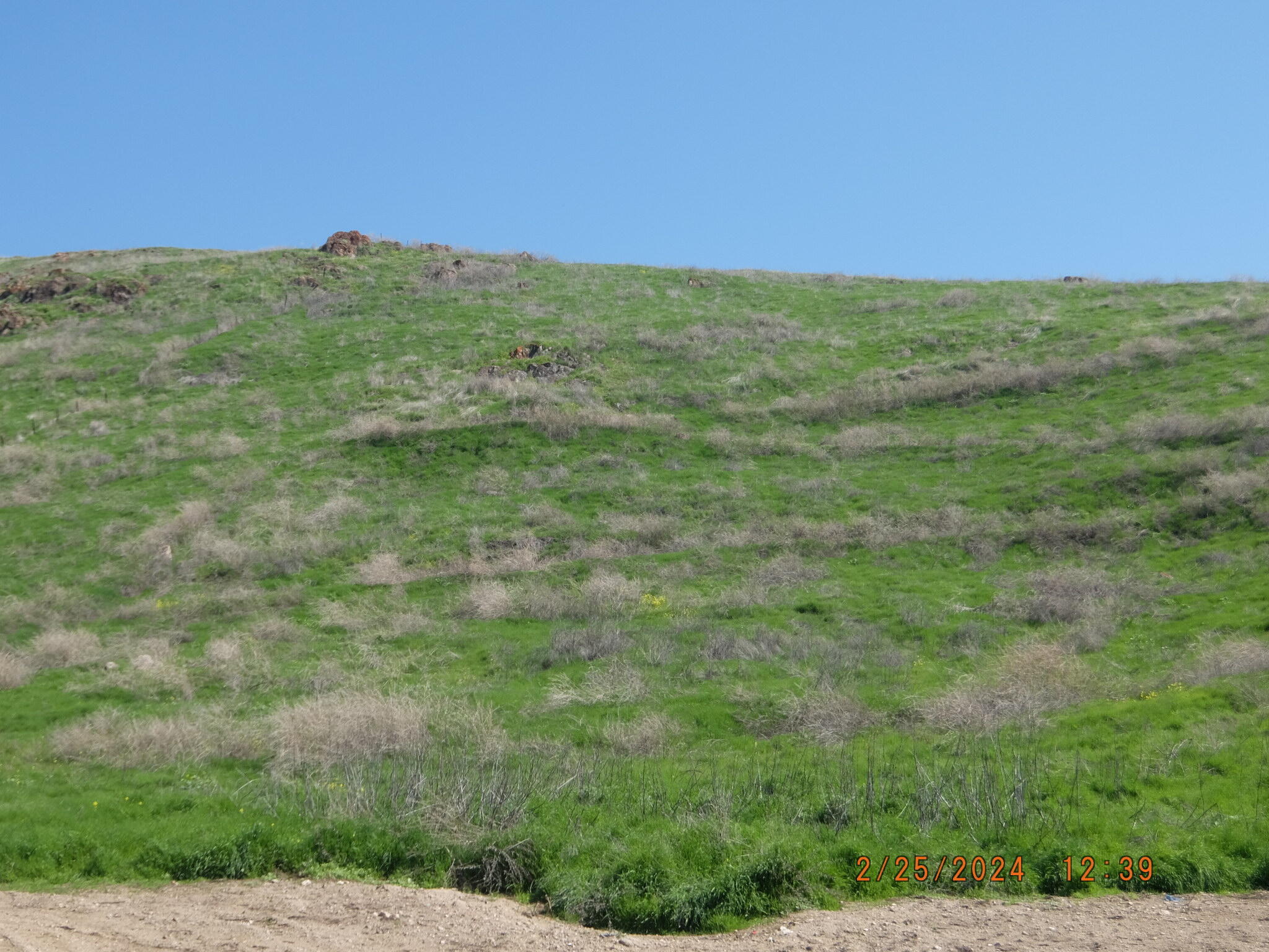 0 N Main & Reed Ave, Porterville, CA 93257