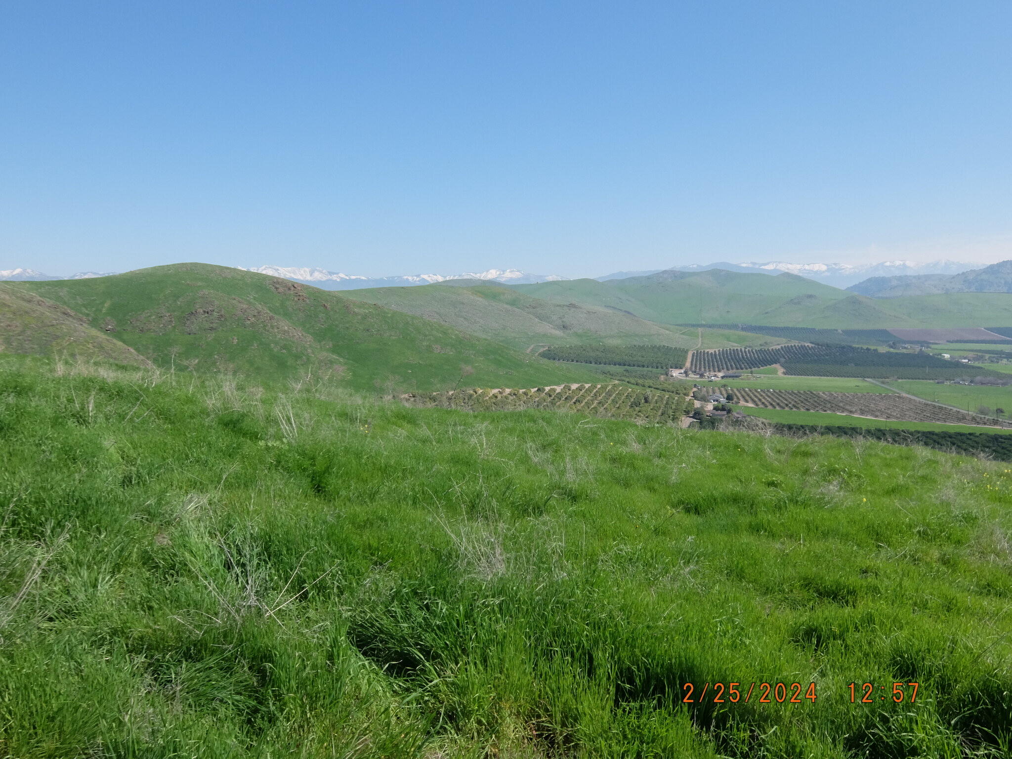 0 N Main & Reed Ave, Porterville, CA 93257