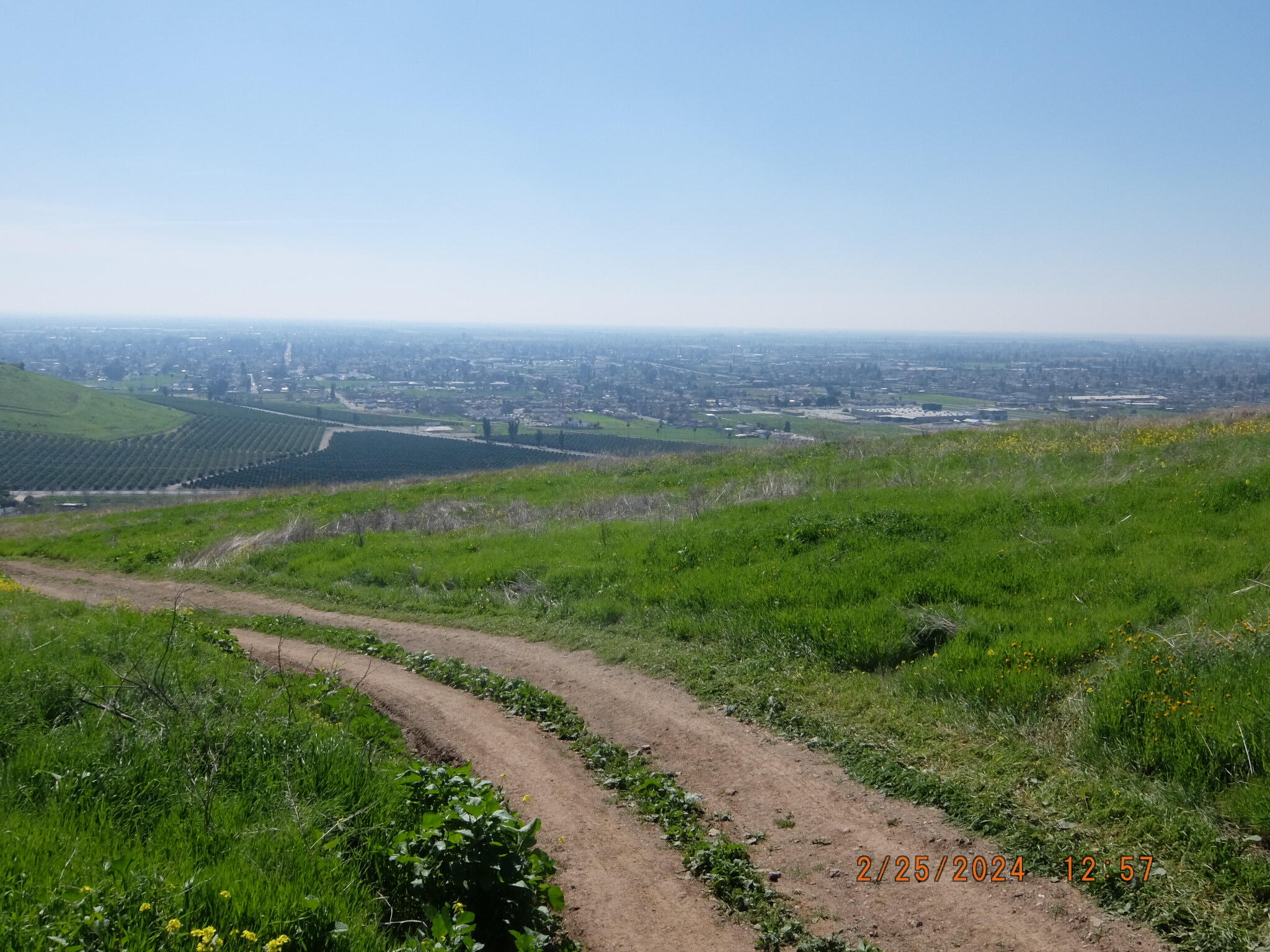 0 N Main & Reed Ave, Porterville, CA 93257