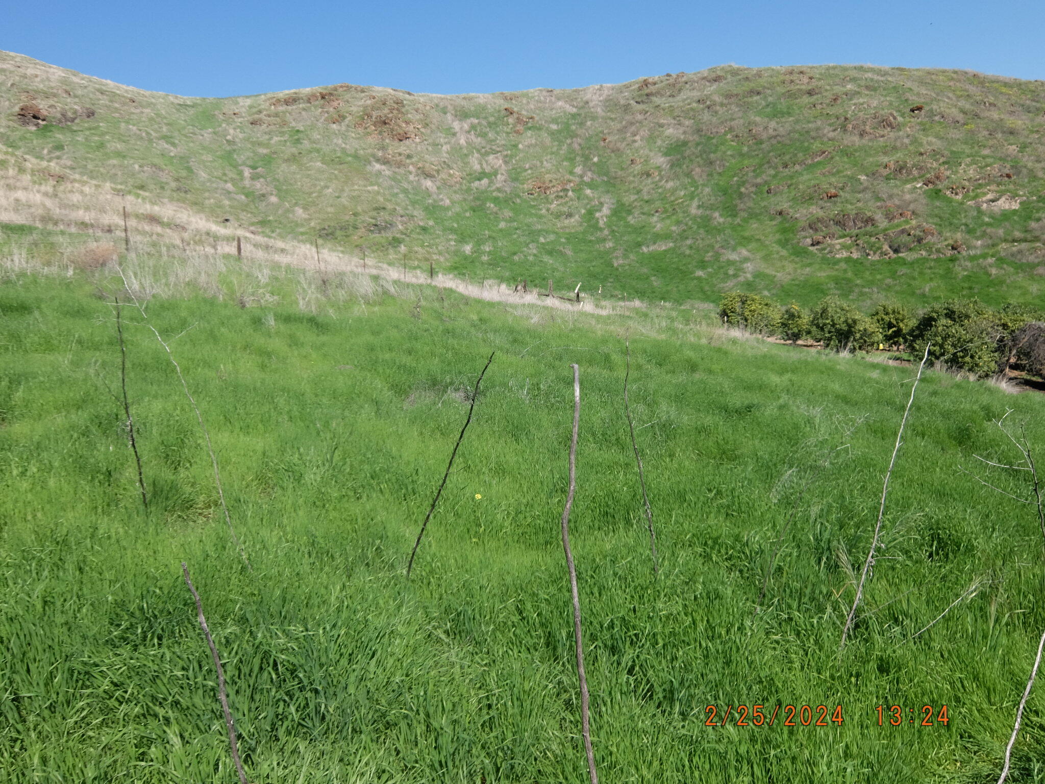 0 N Main & Reed Ave, Porterville, CA 93257