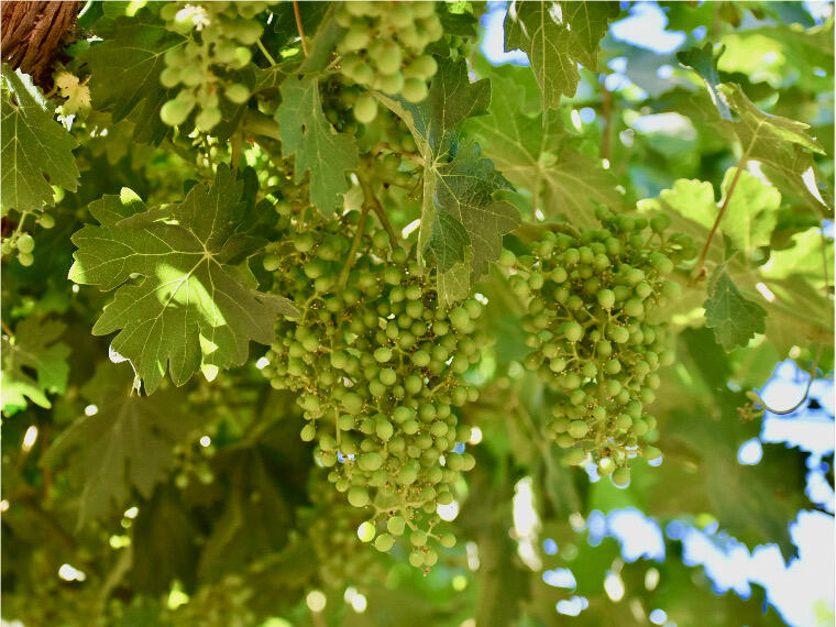 25401 S Spruce Ave, Lindsay, CA 93247