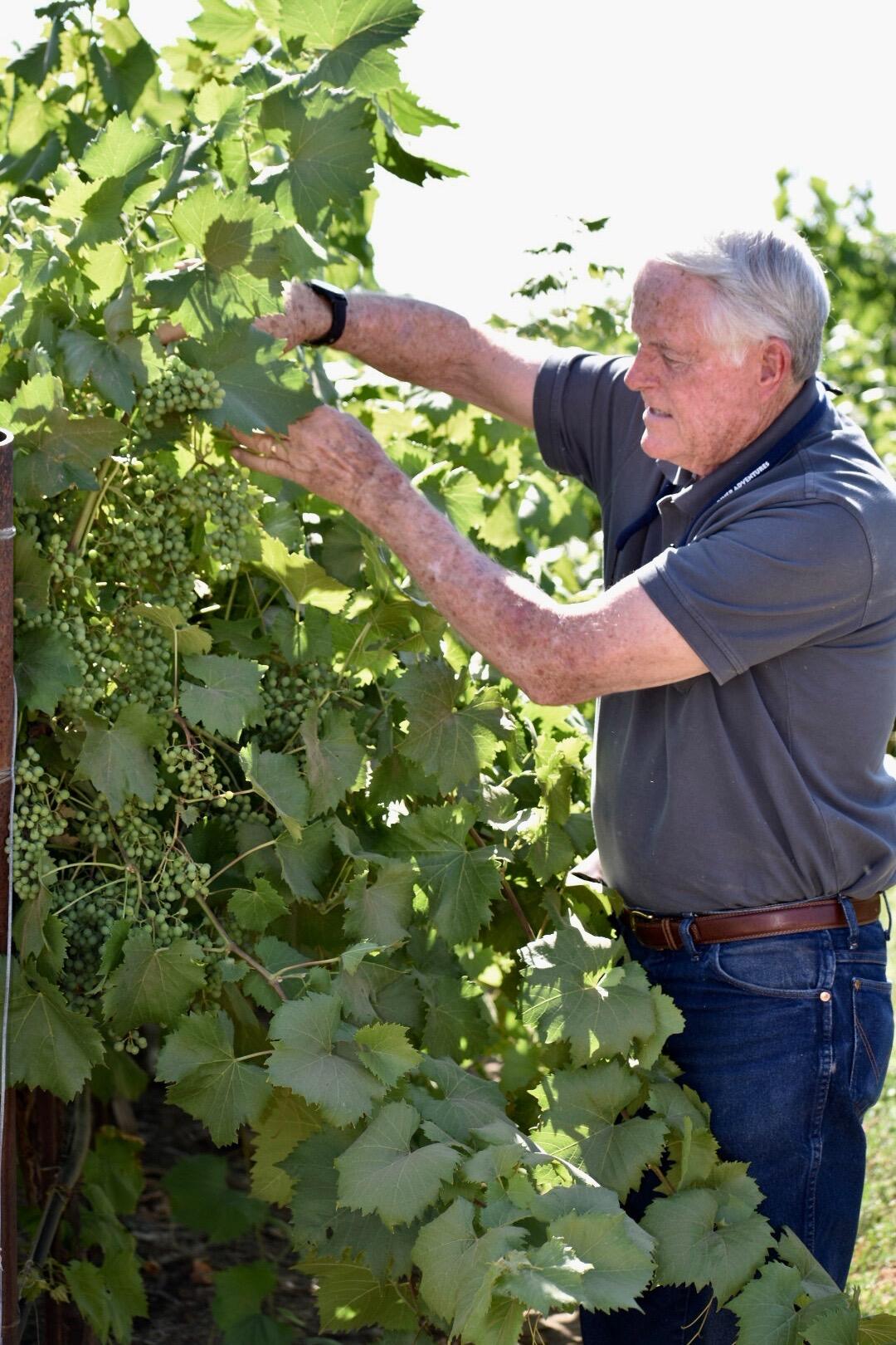 25401 S Spruce Ave, Lindsay, CA 93247