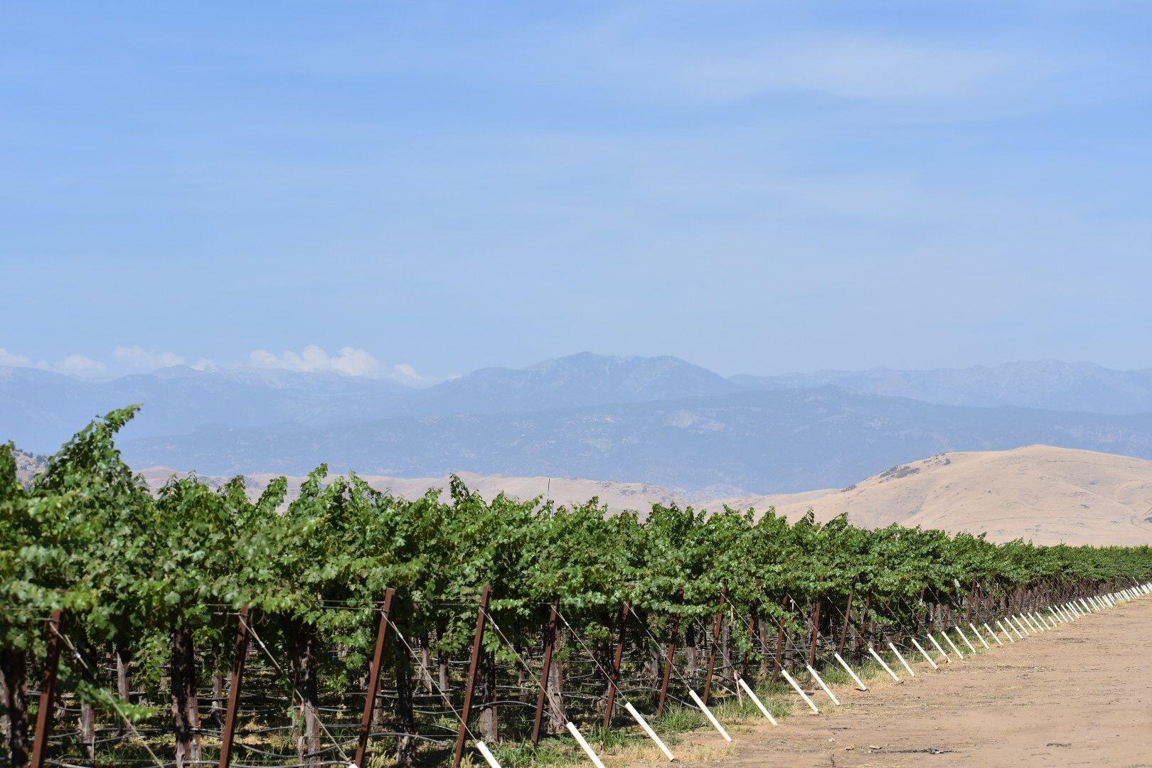 25401 S Spruce Ave, Lindsay, CA 93247