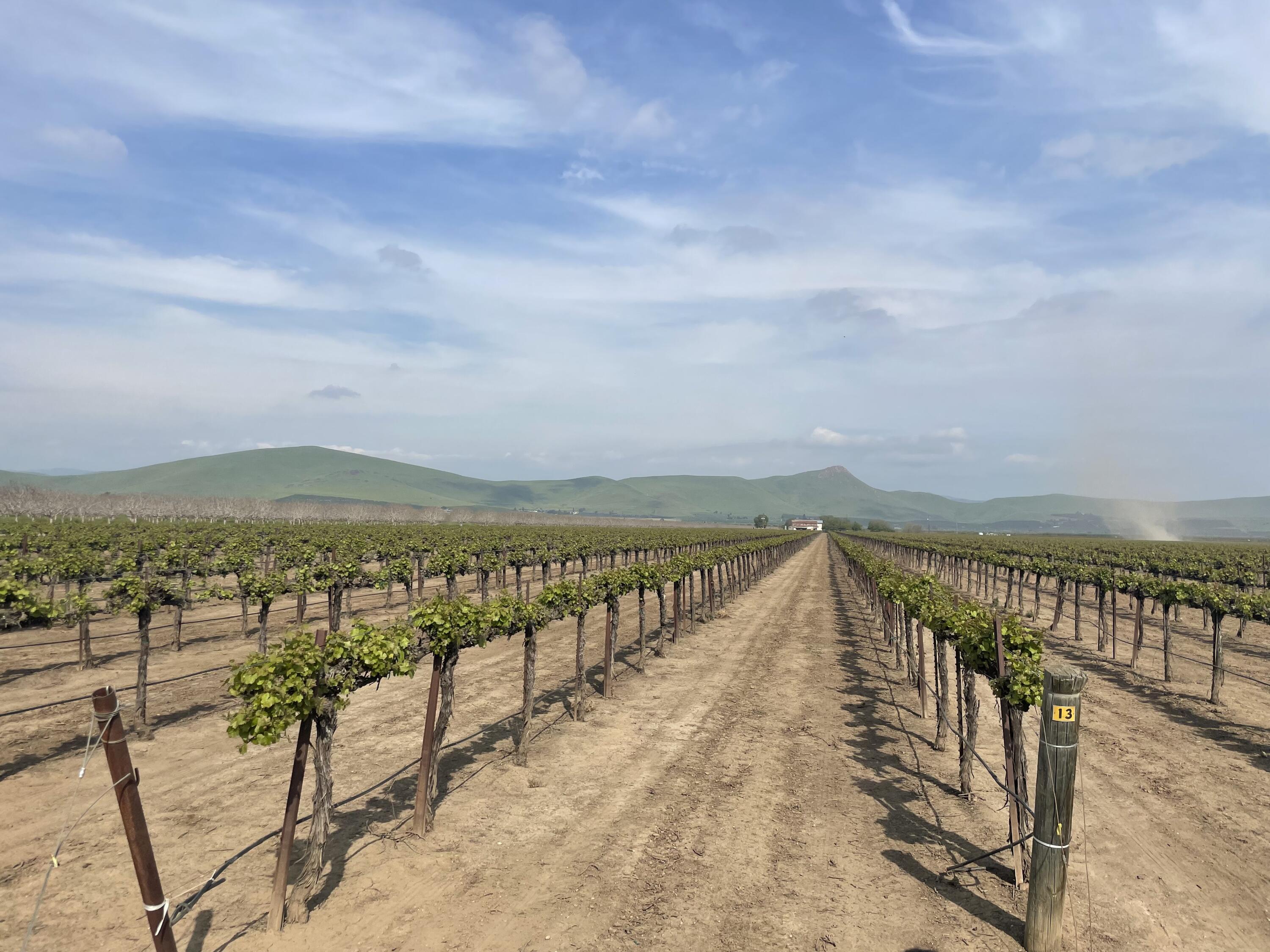 25401 S Spruce Ave, Lindsay, CA 93247