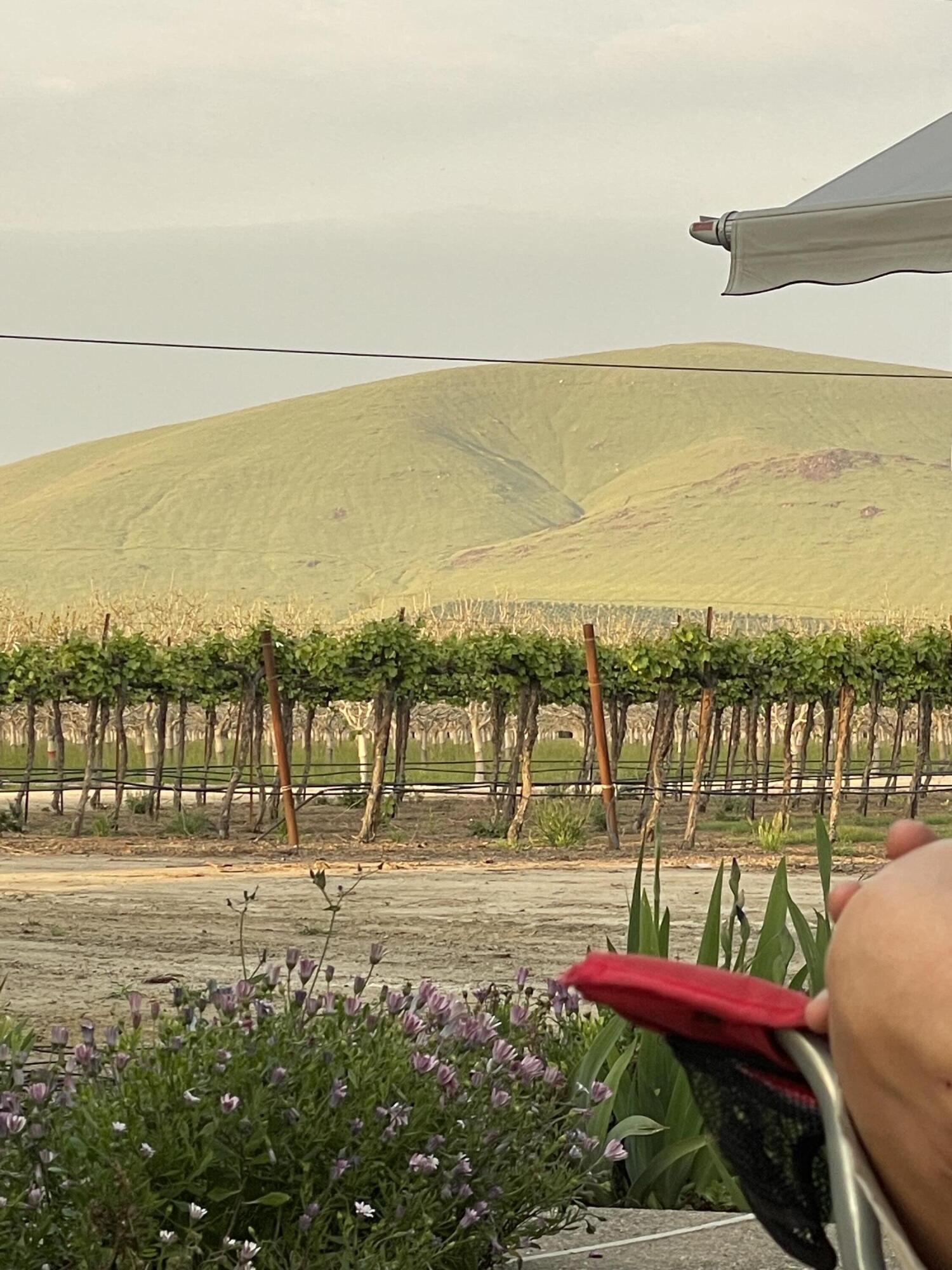 25401 S Spruce Ave, Lindsay, CA 93247