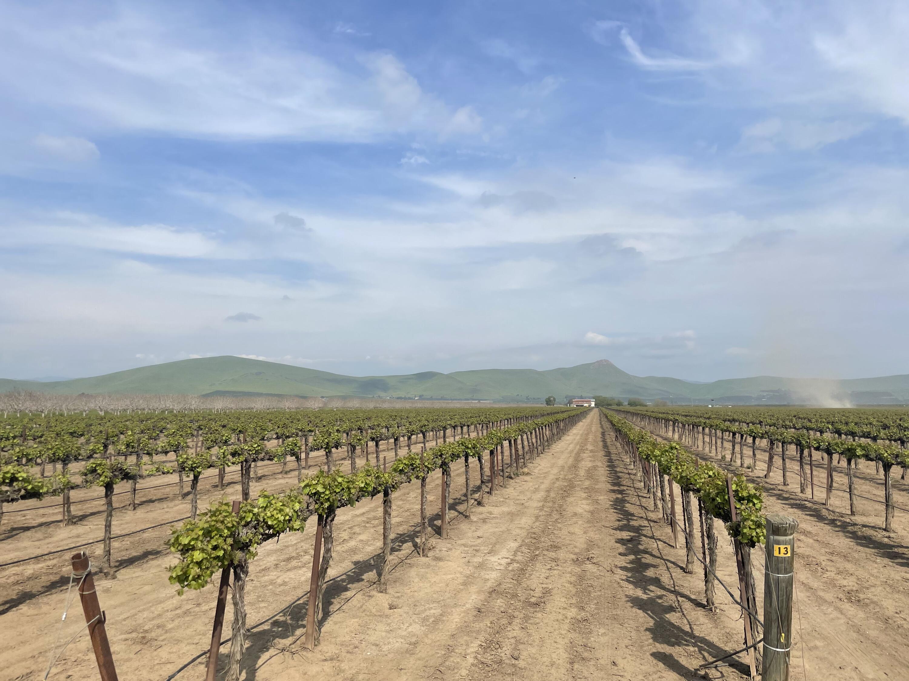 25401 S Spruce Ave, Lindsay, CA 93247