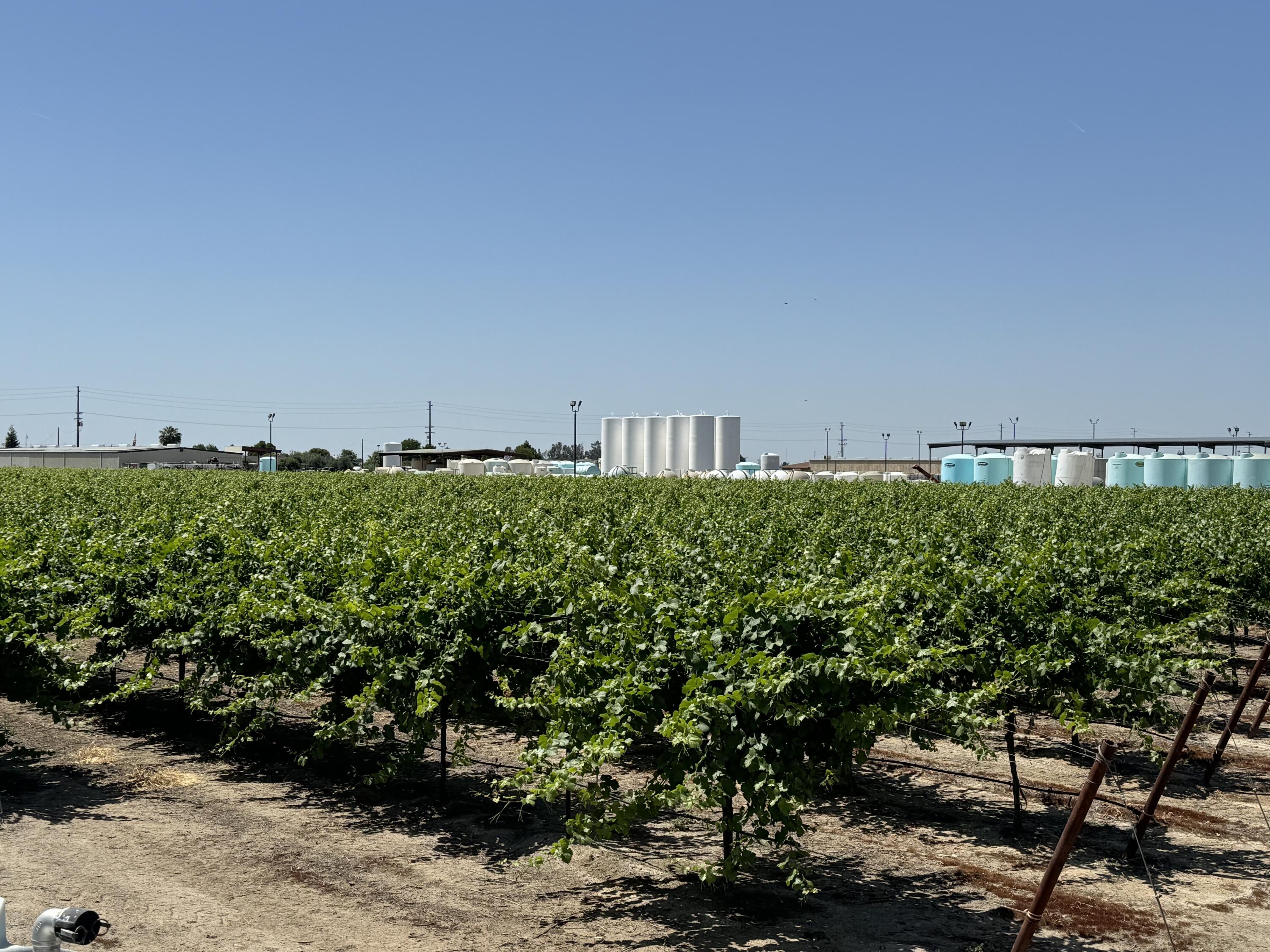 25401 S Spruce Ave, Lindsay, CA 93247