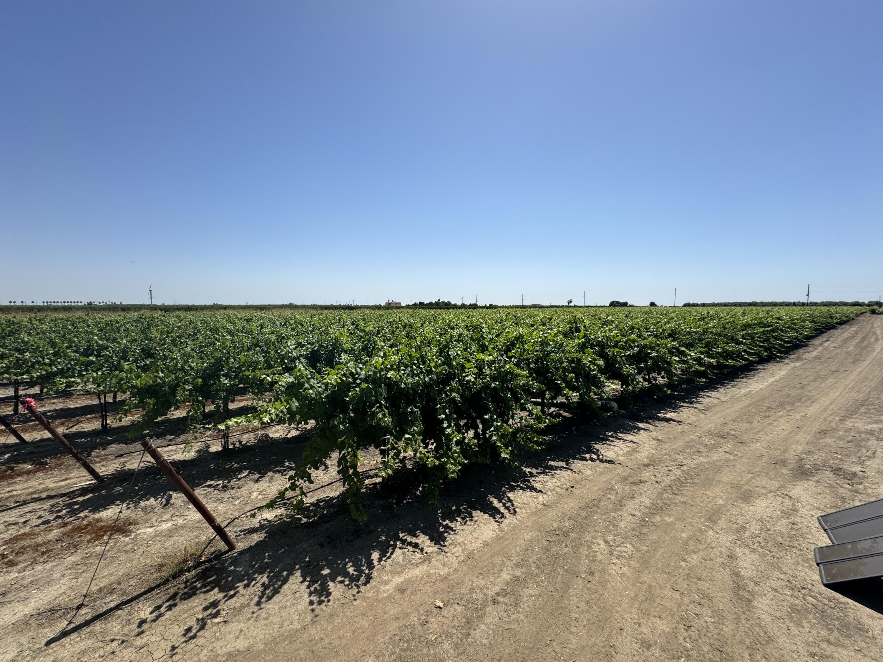 25401 S Spruce Ave, Lindsay, CA 93247