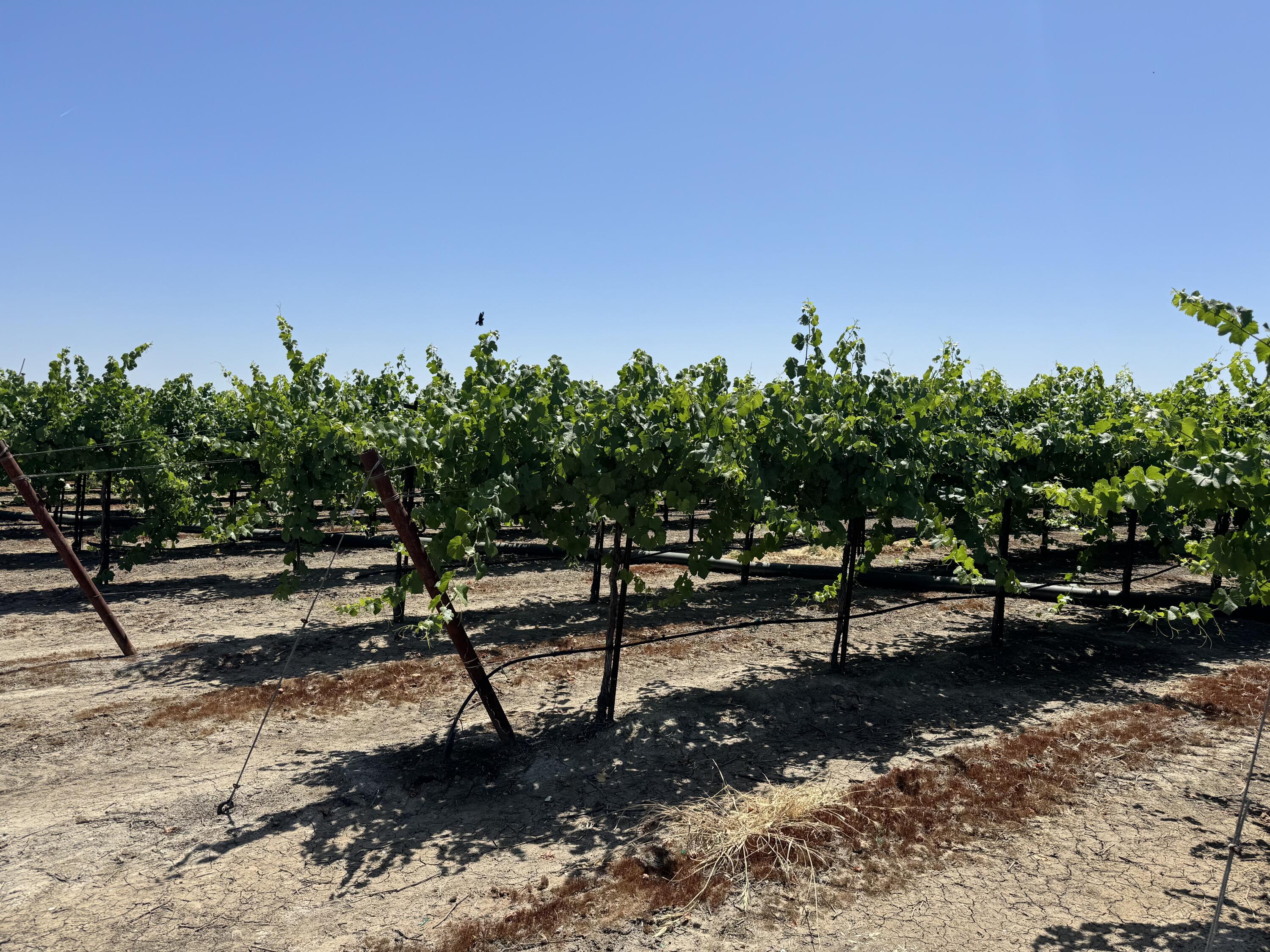 25401 S Spruce Ave, Lindsay, CA 93247