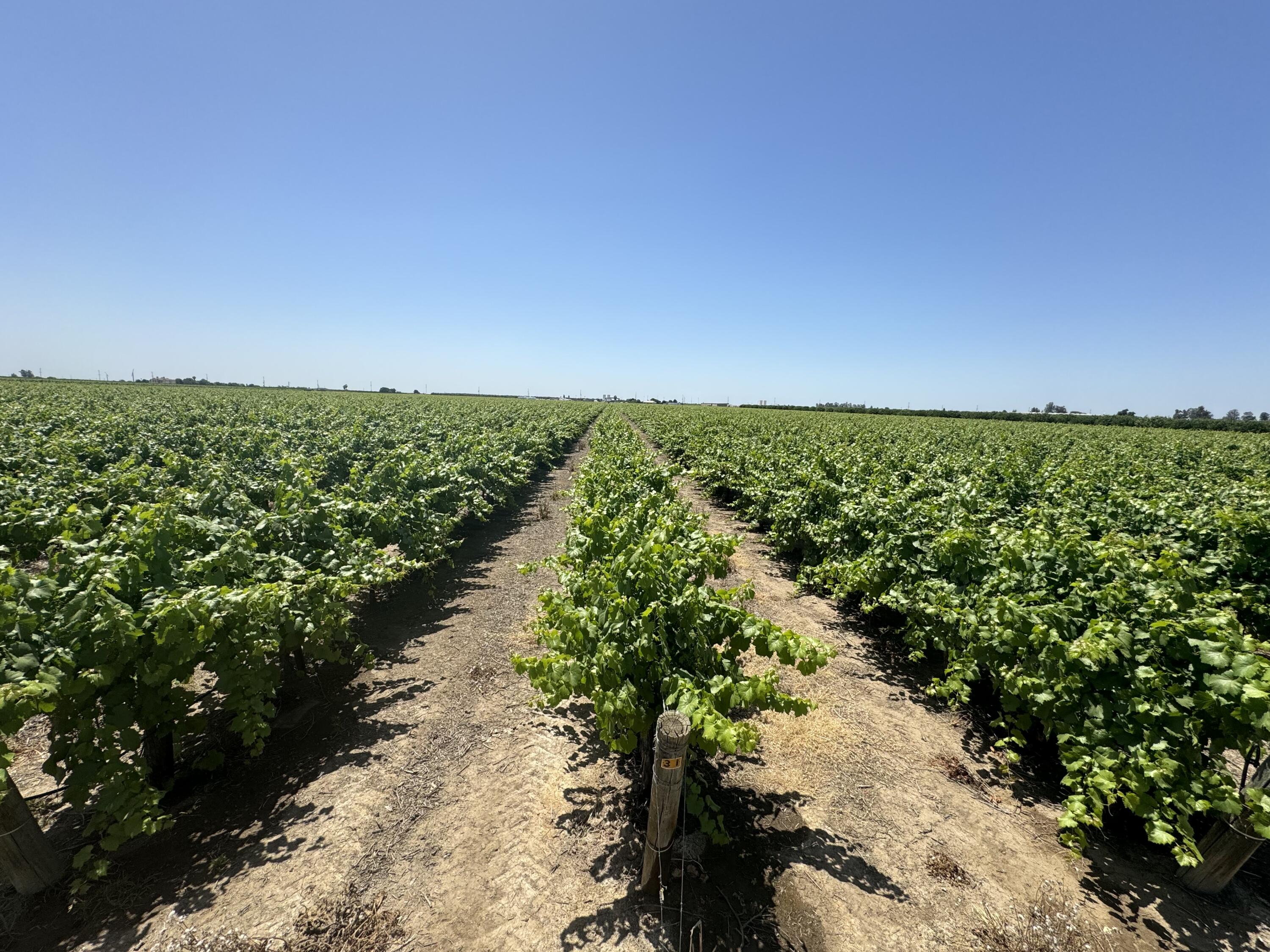 25401 S Spruce Ave, Lindsay, CA 93247