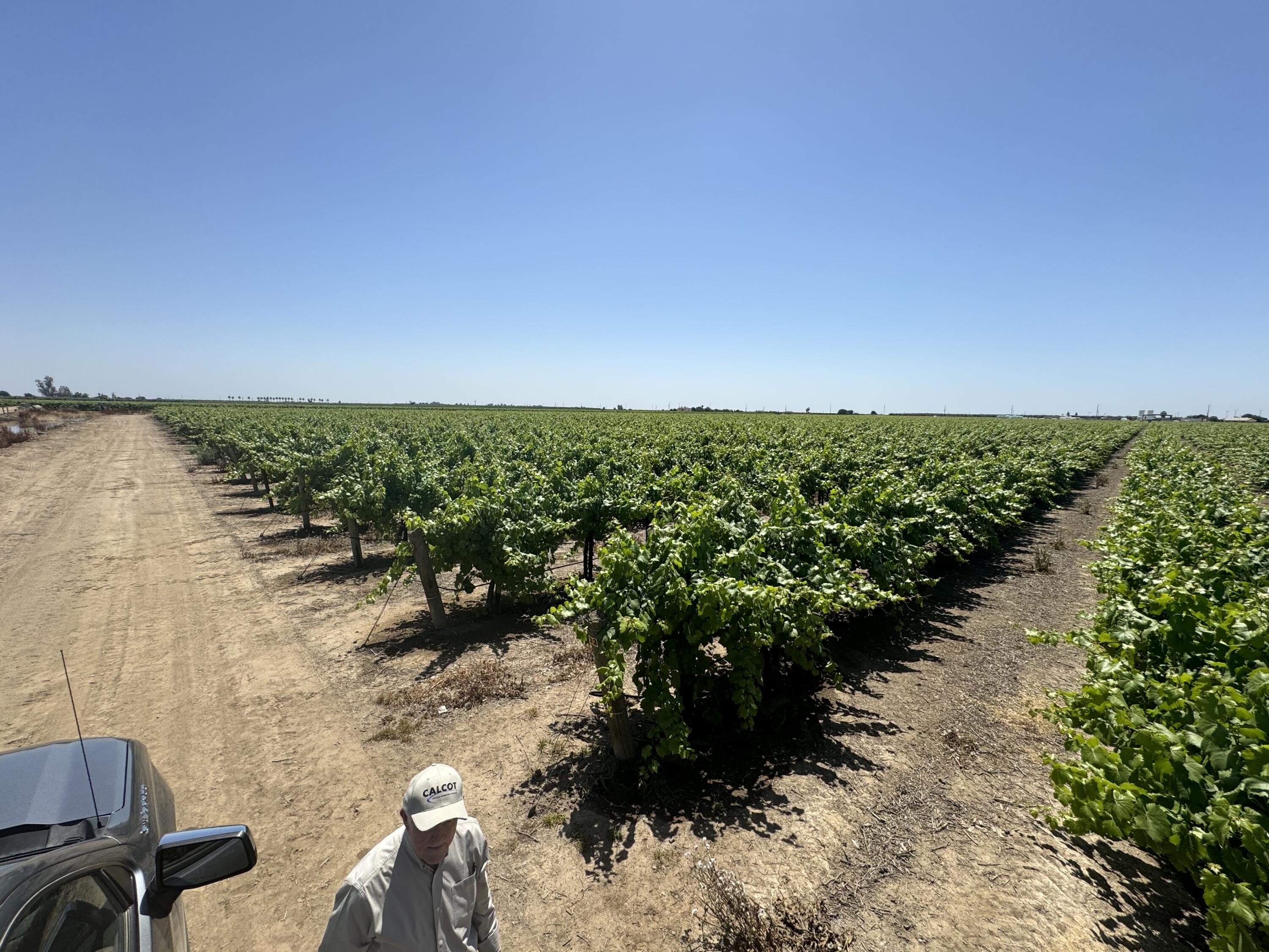 25401 S Spruce Ave, Lindsay, CA 93247