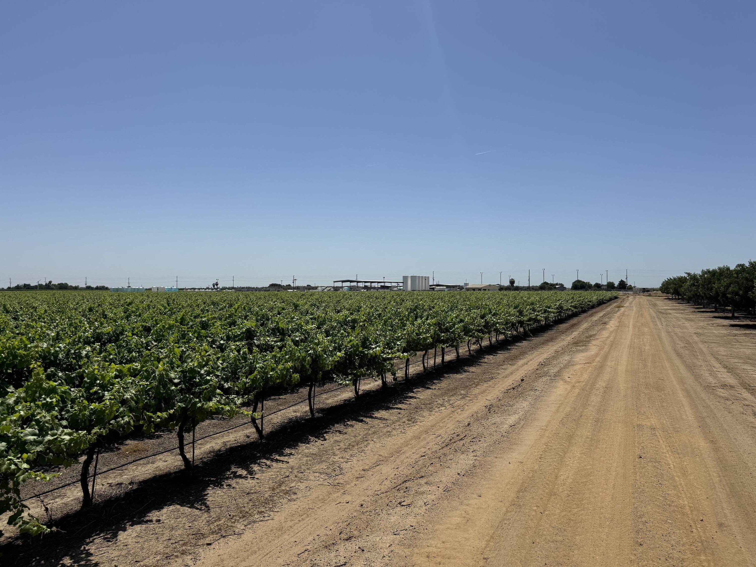 25401 S Spruce Ave, Lindsay, CA 93247