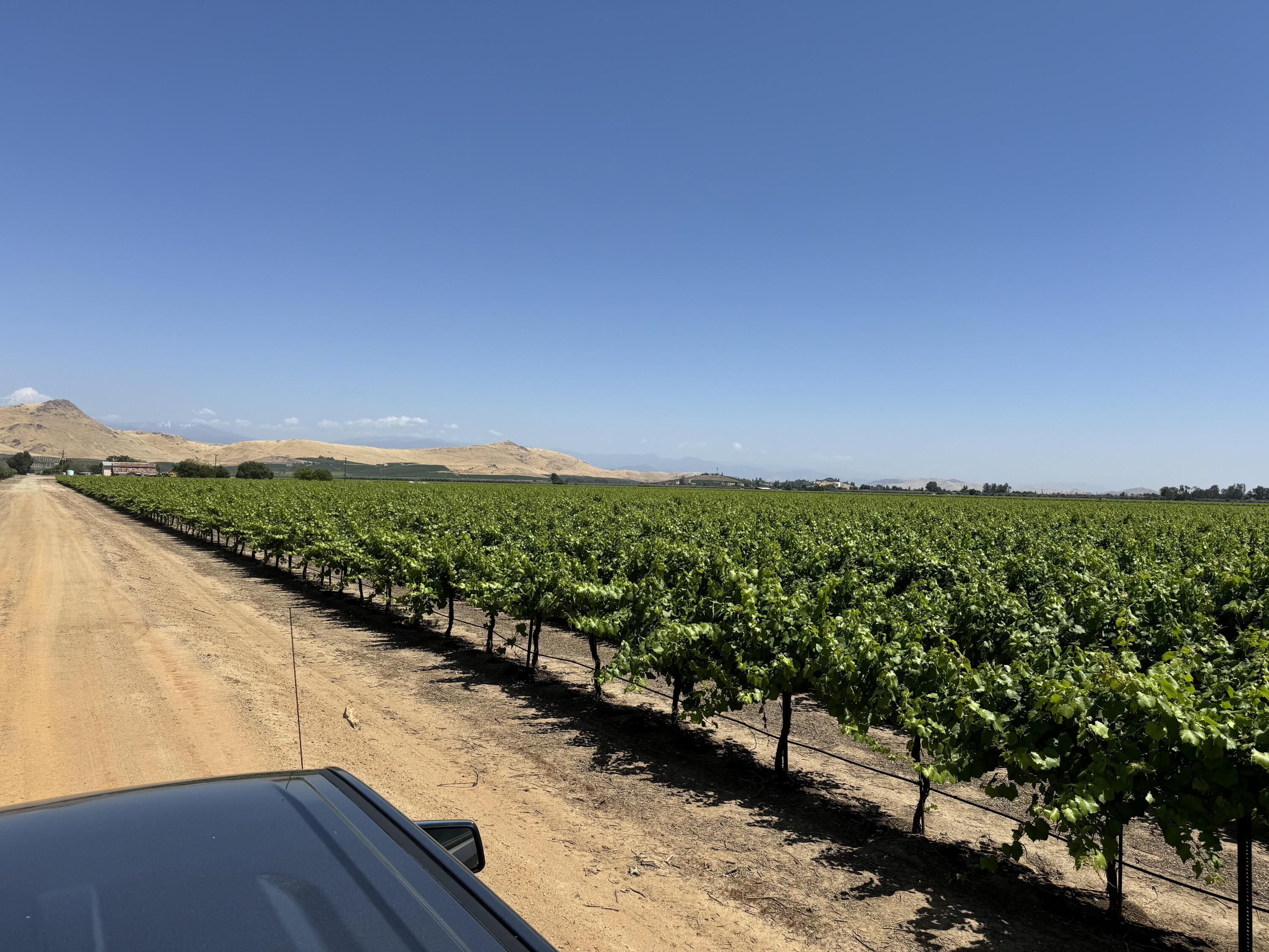 25401 S Spruce Ave, Lindsay, CA 93247