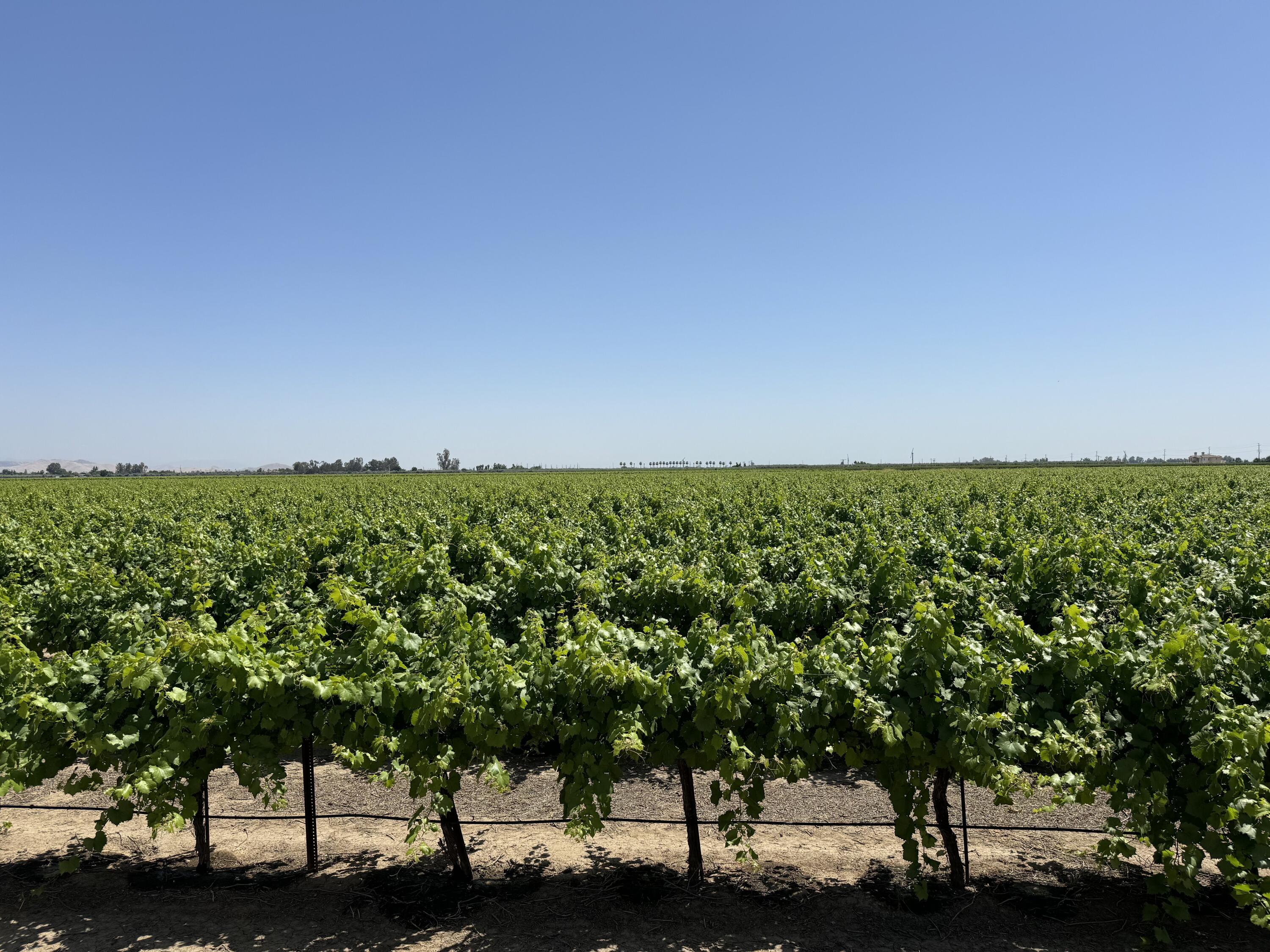 25401 S Spruce Ave, Lindsay, CA 93247