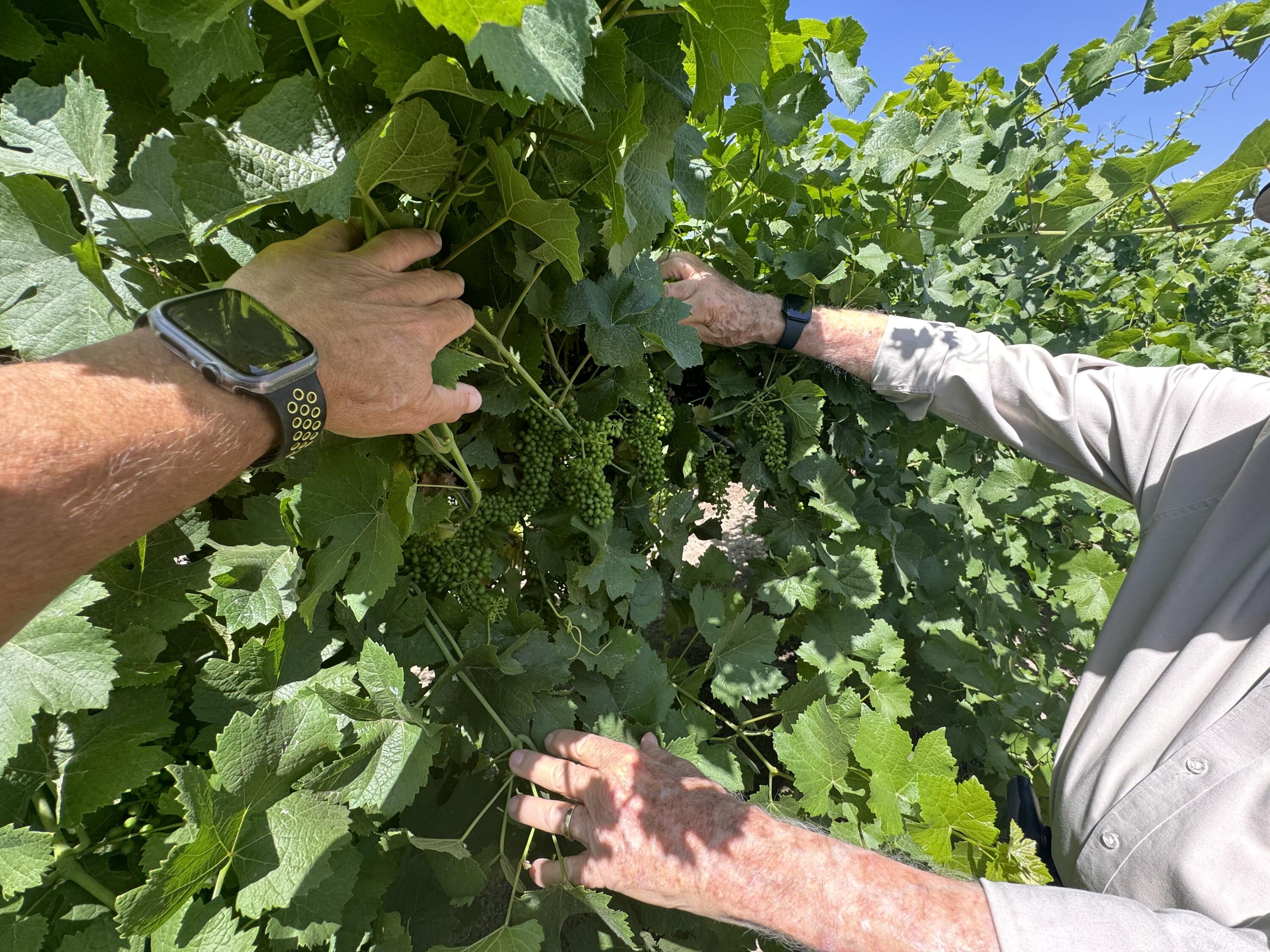 25401 S Spruce Ave, Lindsay, CA 93247