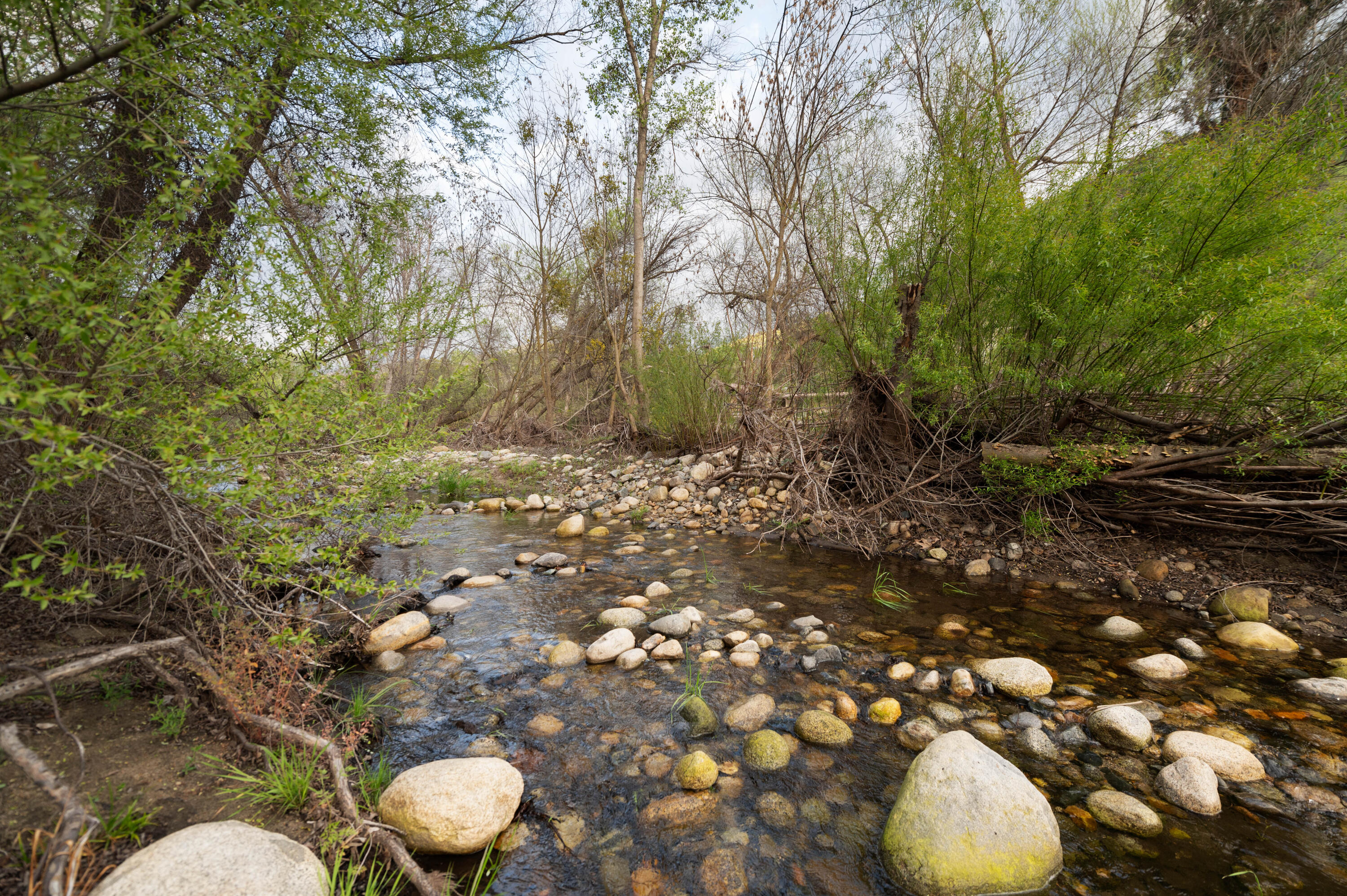 42440 Kaweah River Dr, Three Rivers, CA 93271