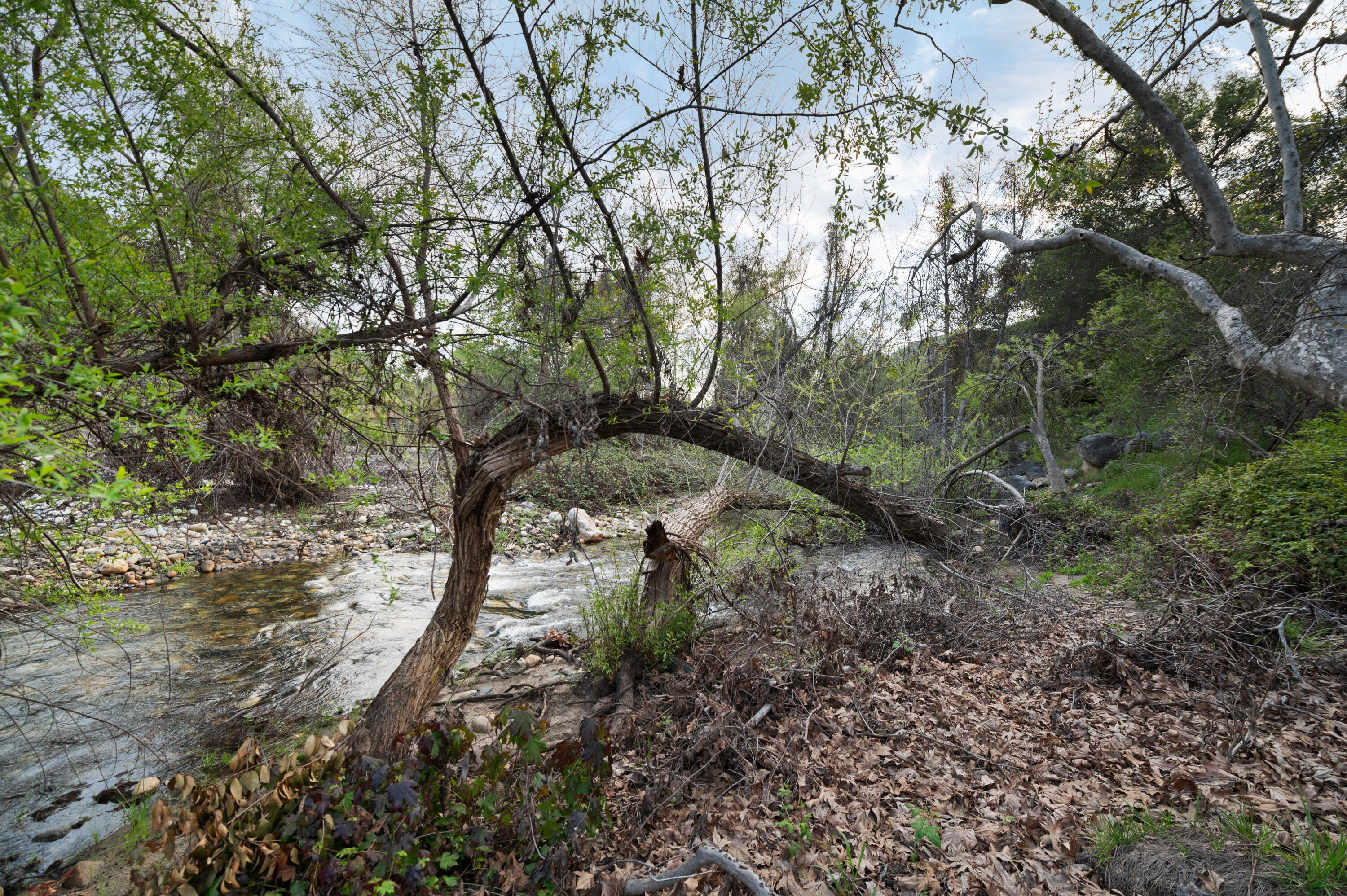 42440 Kaweah River Dr, Three Rivers, CA 93271