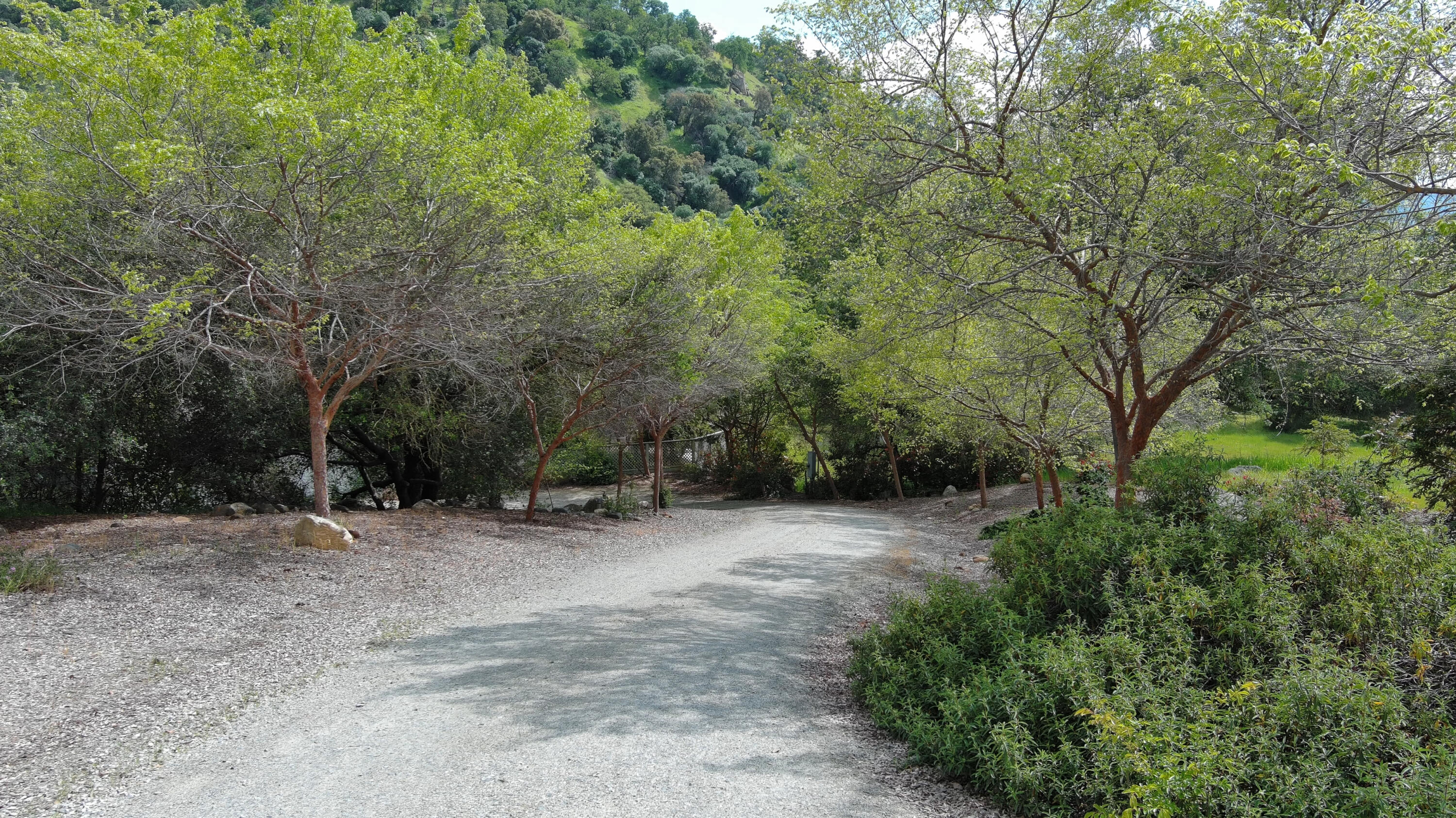 42440 Kaweah River Dr, Three Rivers, CA 93271