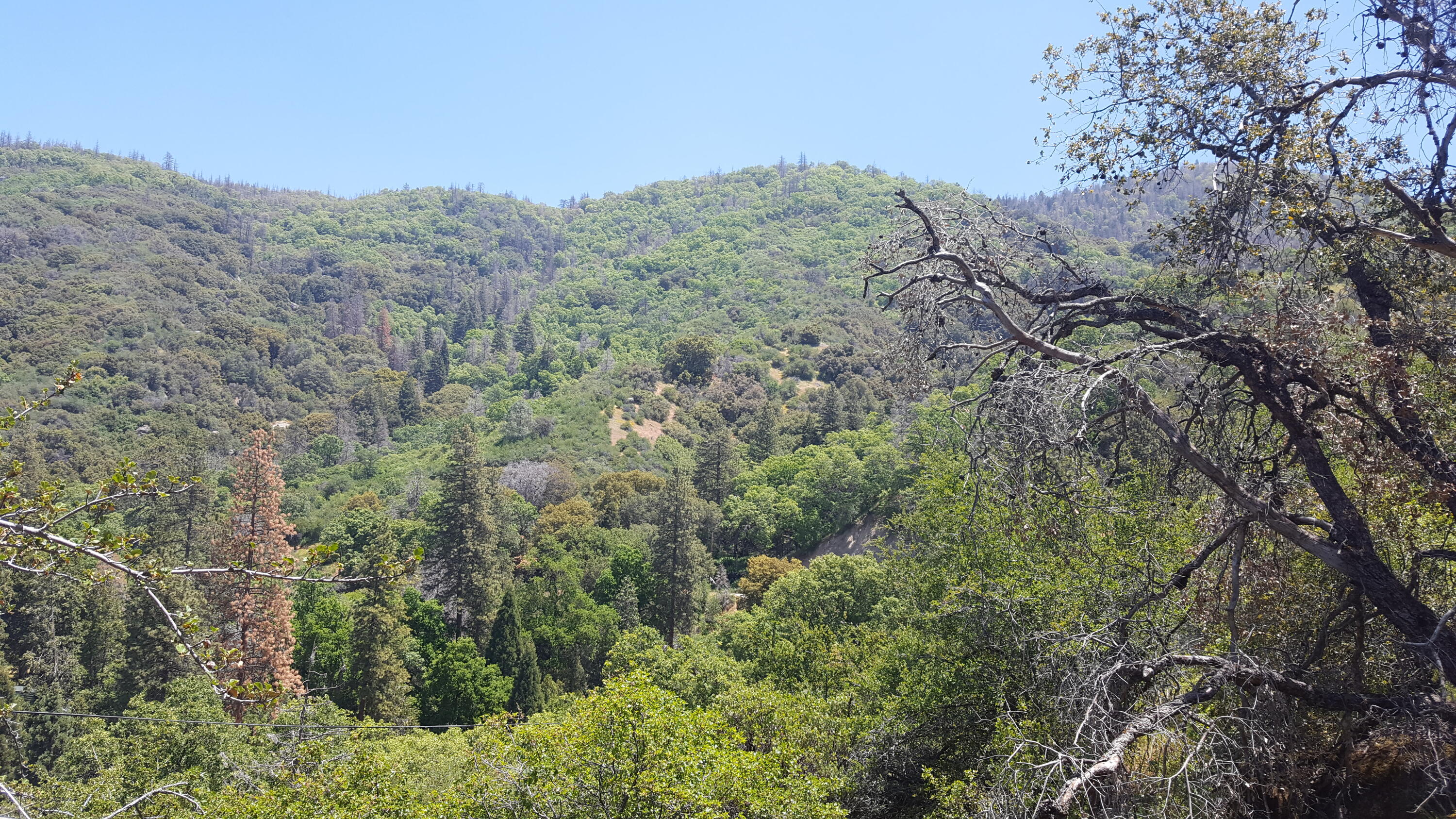 0 Lot 24 Rocking K Dr, California Hot Springs, CA 93207